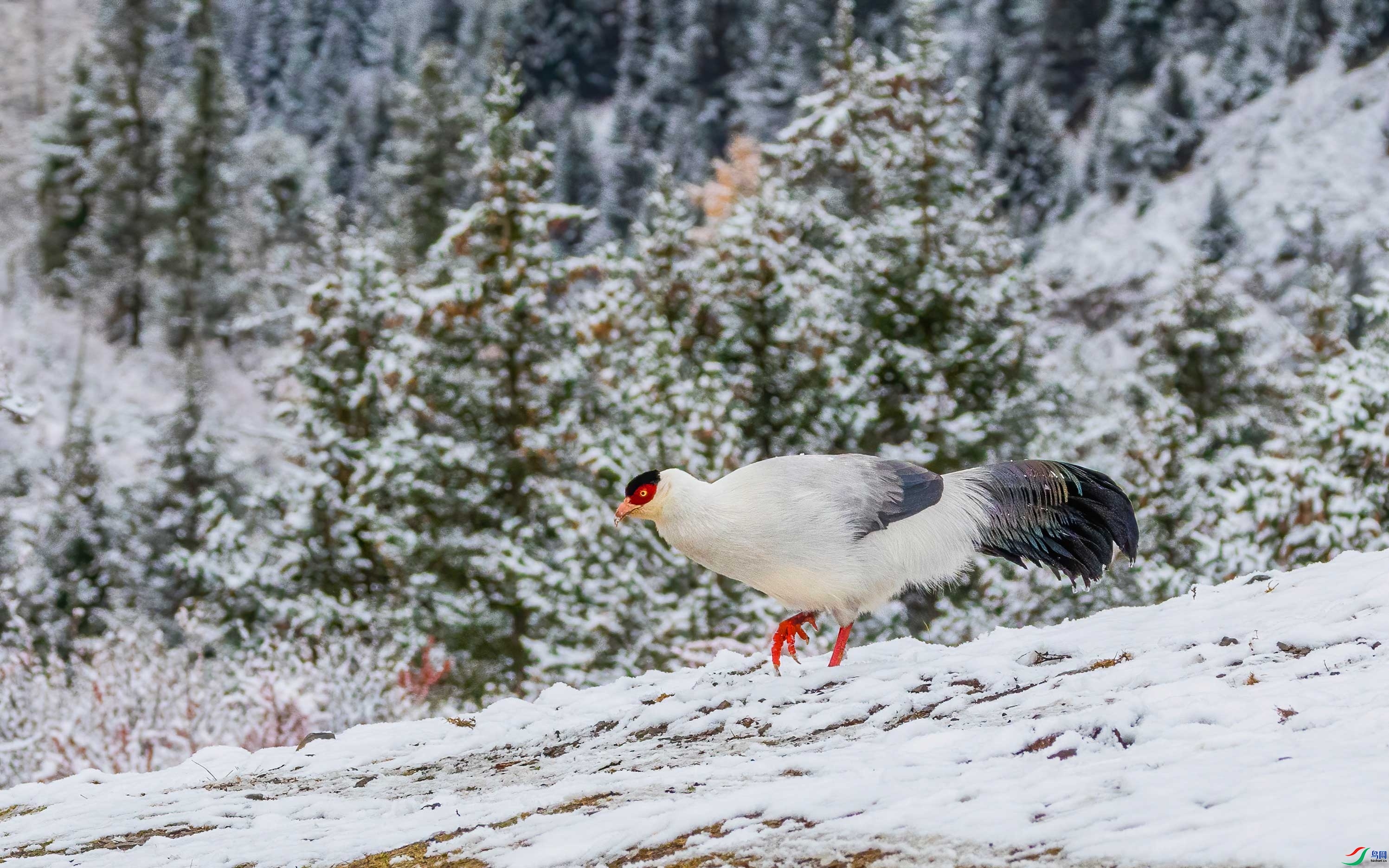 ��ɽ  ���� �ɶ��Ͻ� ����.jpg