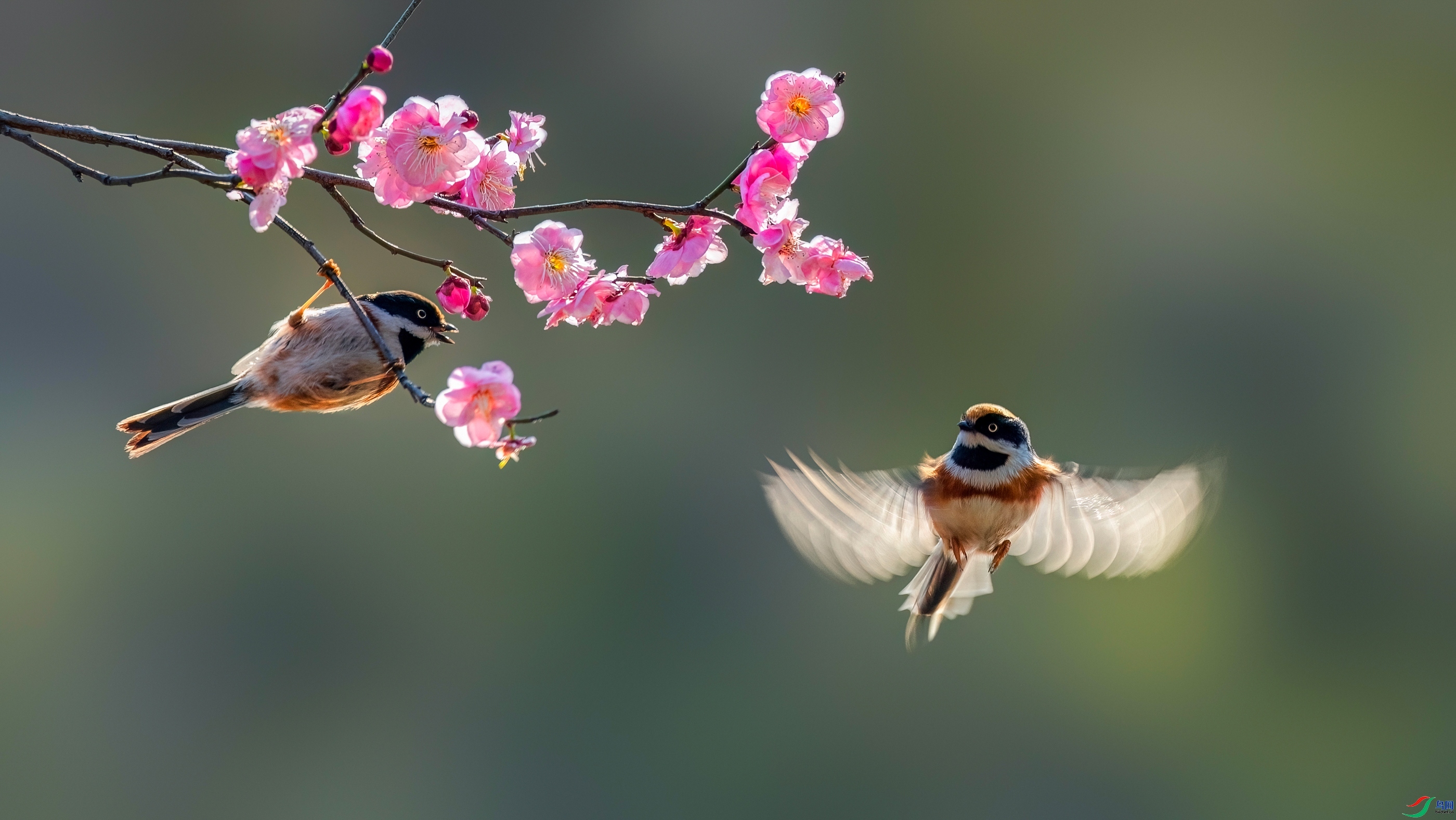 �������� ���� HSIA.jpg