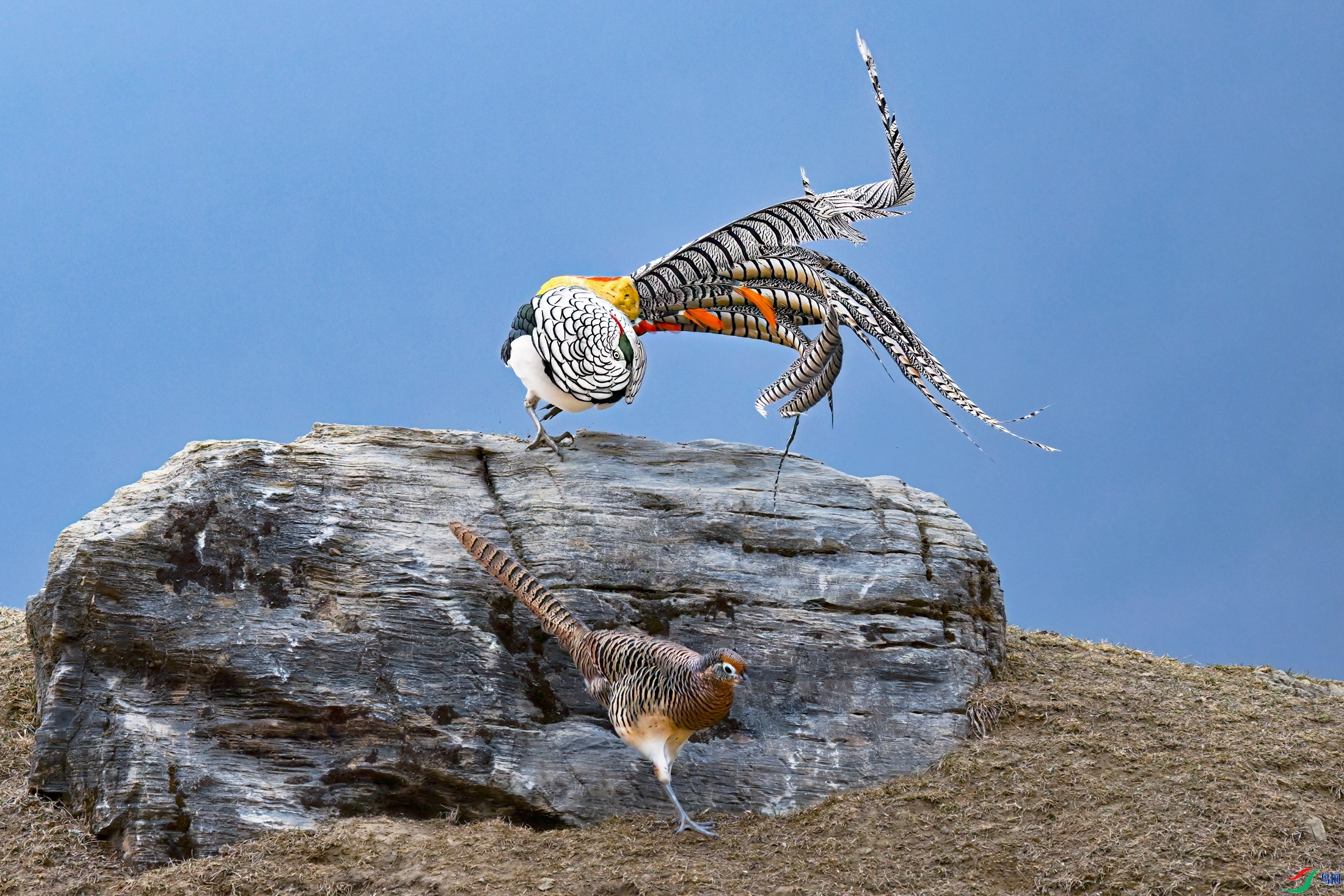 �׸����� ���� �չ�����-����  ����.jpg