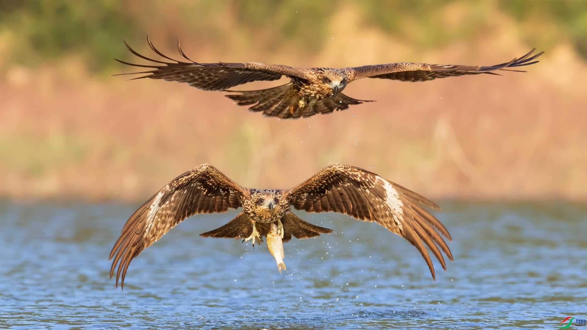 ÿ�ռ������� ��׷���ᡷ�Ű�.jpg