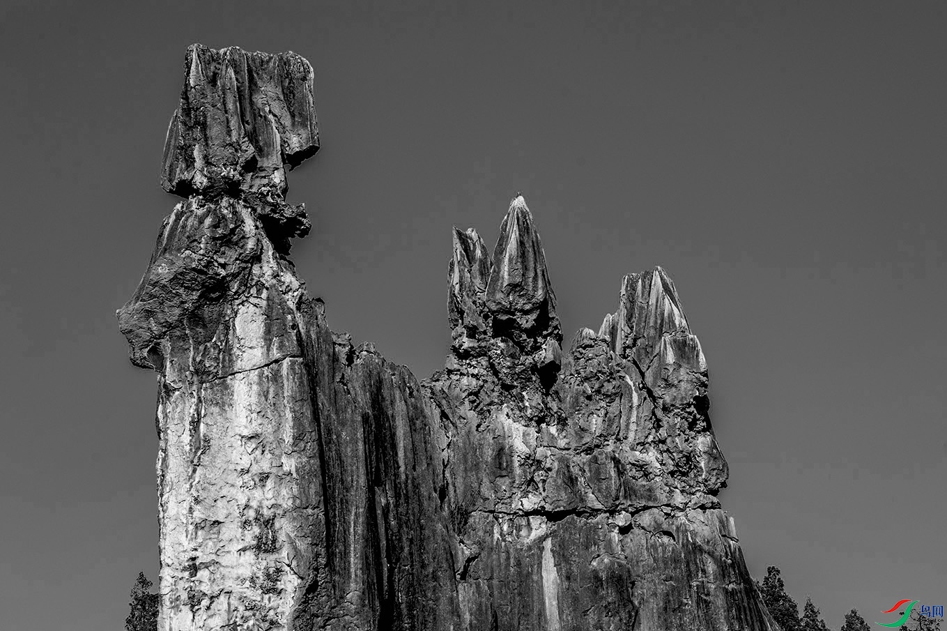 DSC_5995.jpg