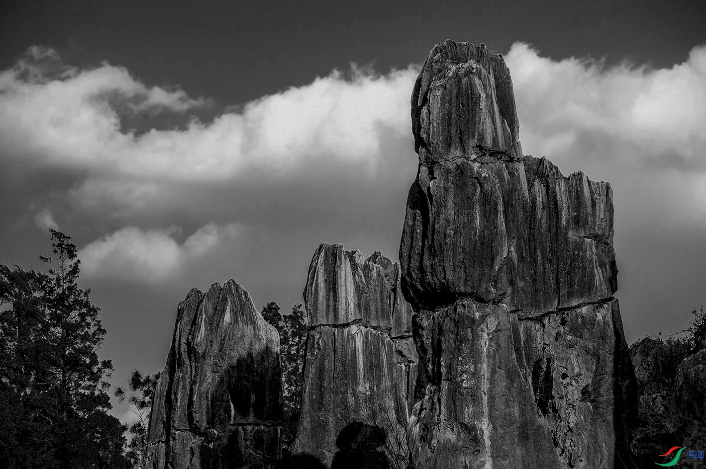 DSC_6000.jpg