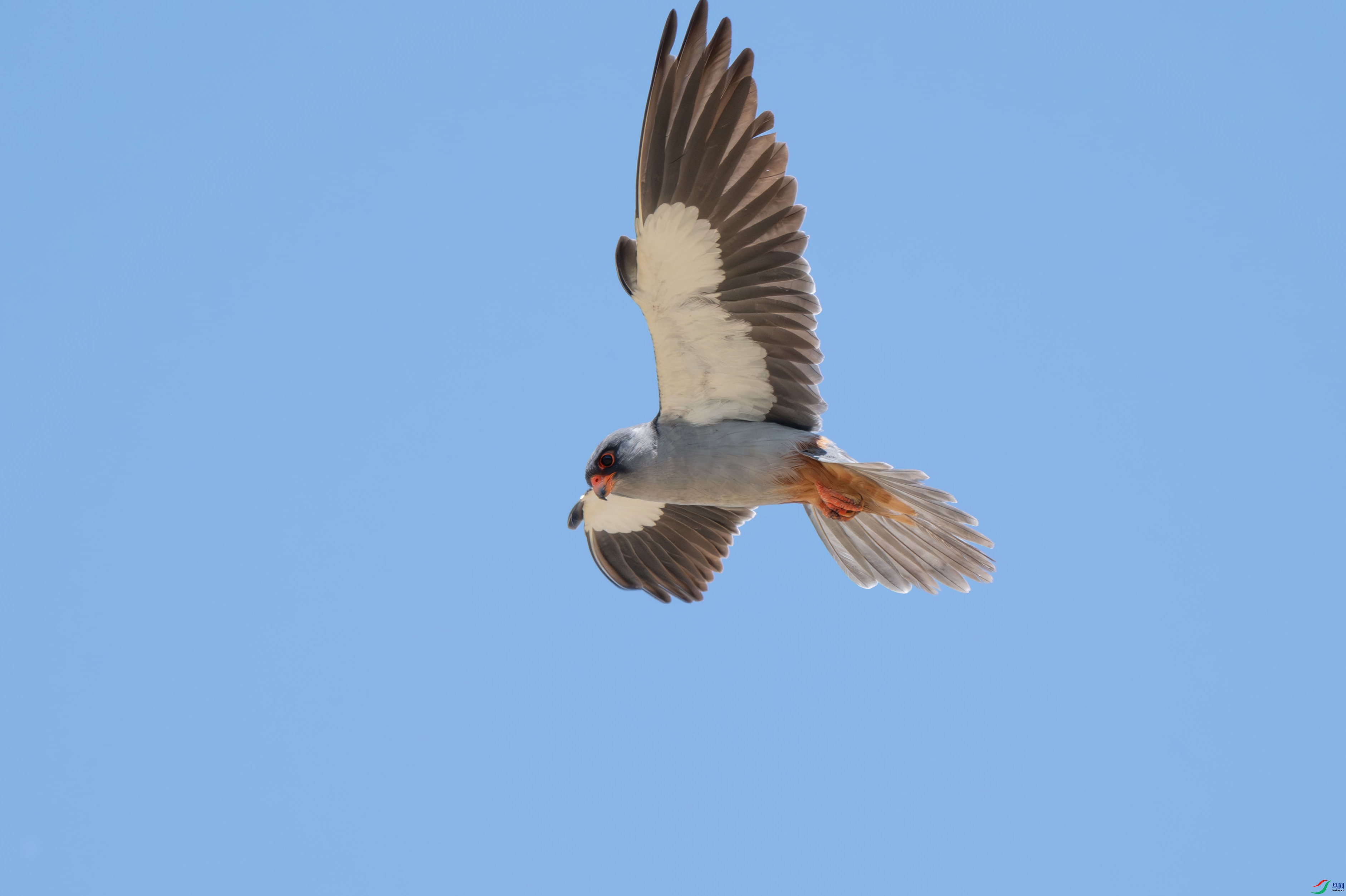 DSC_3593.jpg