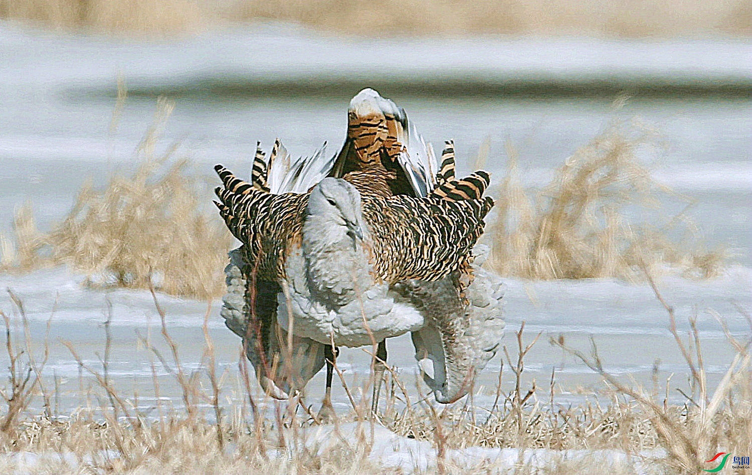 DB 16����.jpg