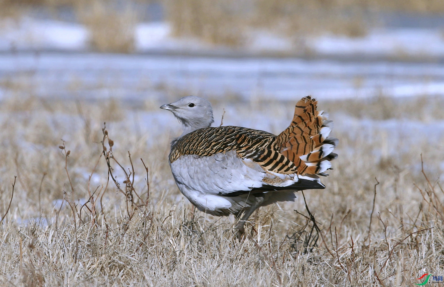 DB 1����.jpg