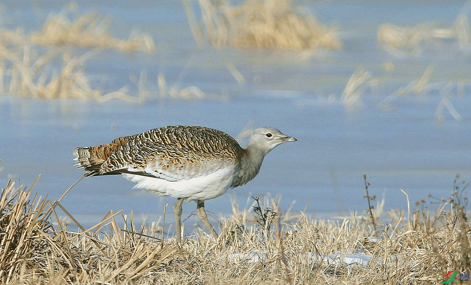 DB 5����.jpg