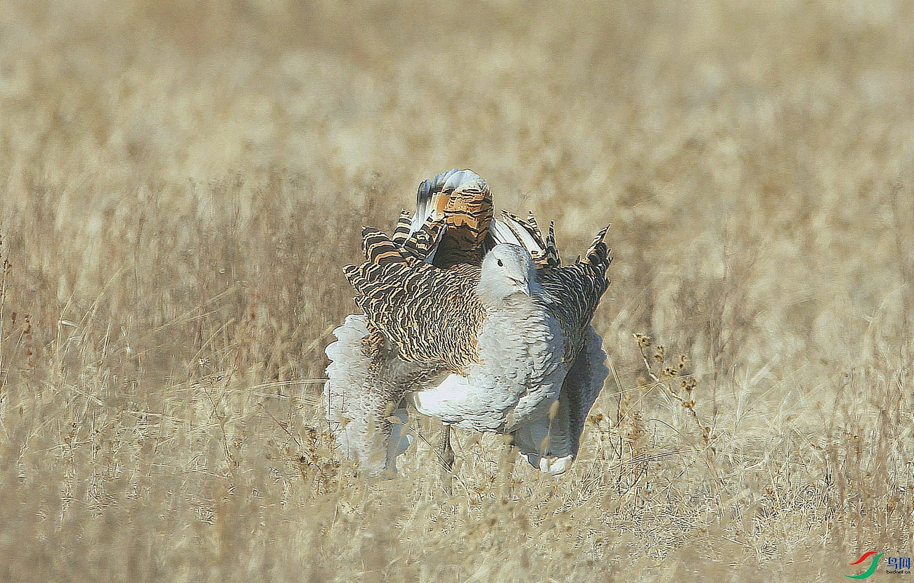 DB 4����.jpg