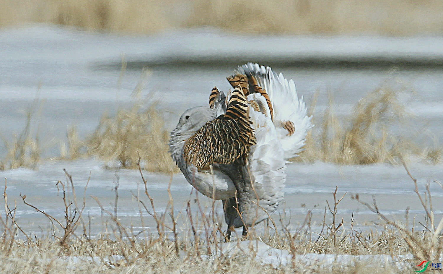 DB 15����.jpg