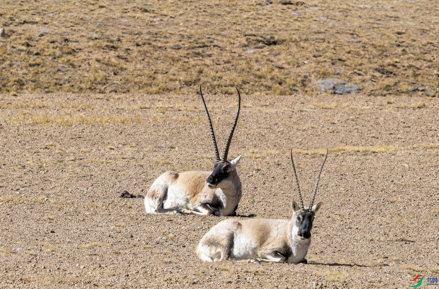 ������ (5)-1.jpg