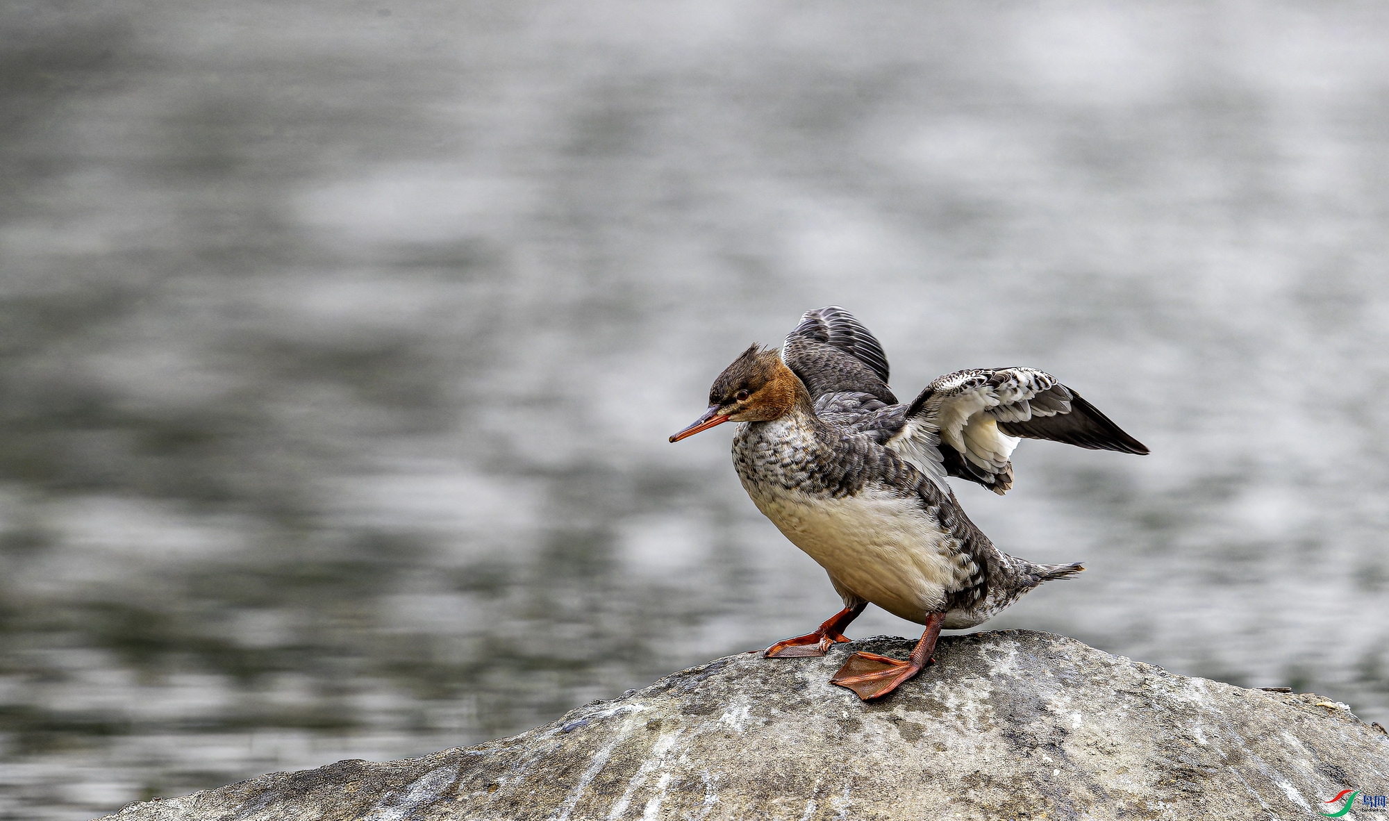 ������ɳѼ���ƣ�  (3)-1.jpg