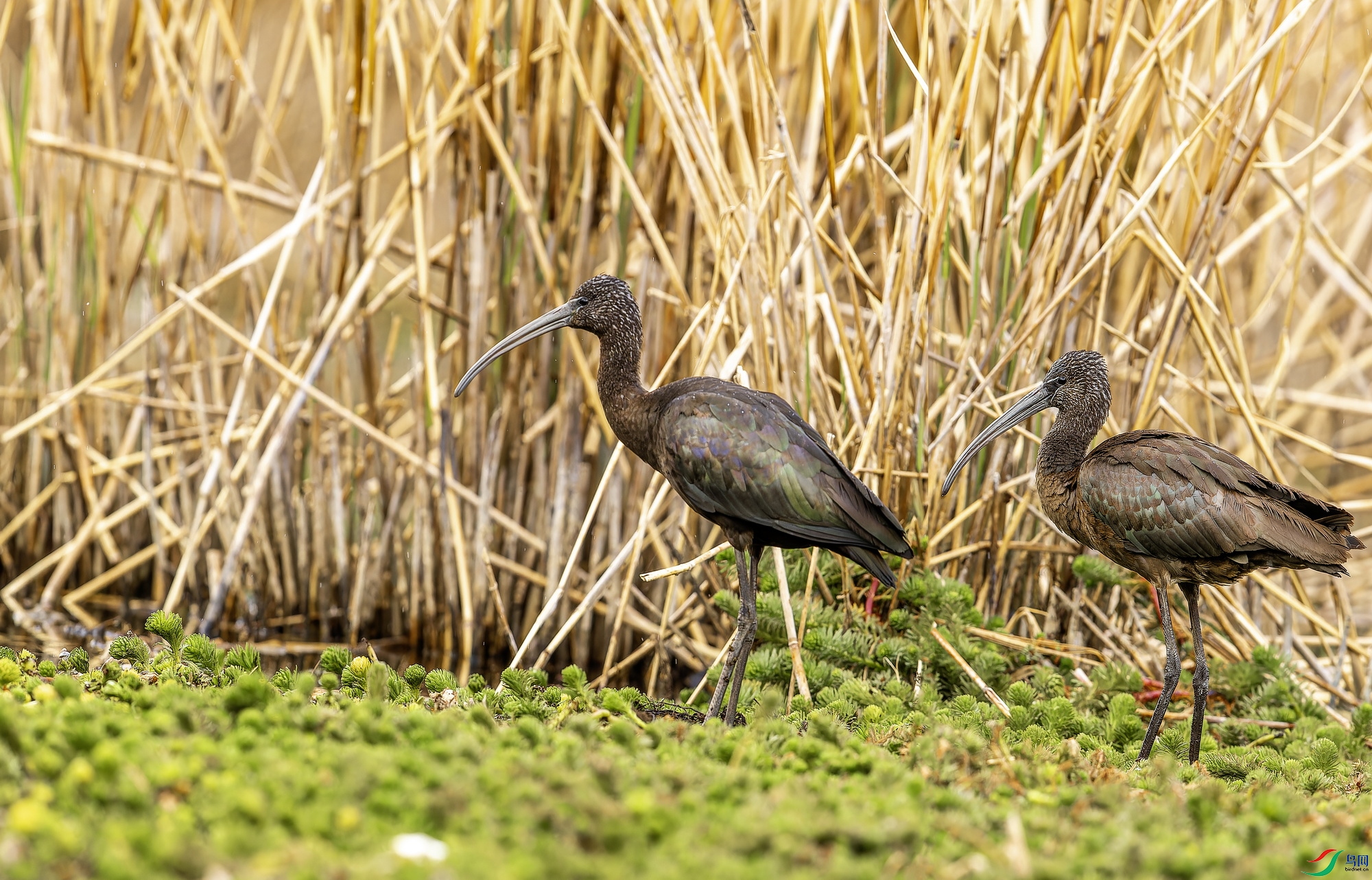 ���q (5)-1.jpg