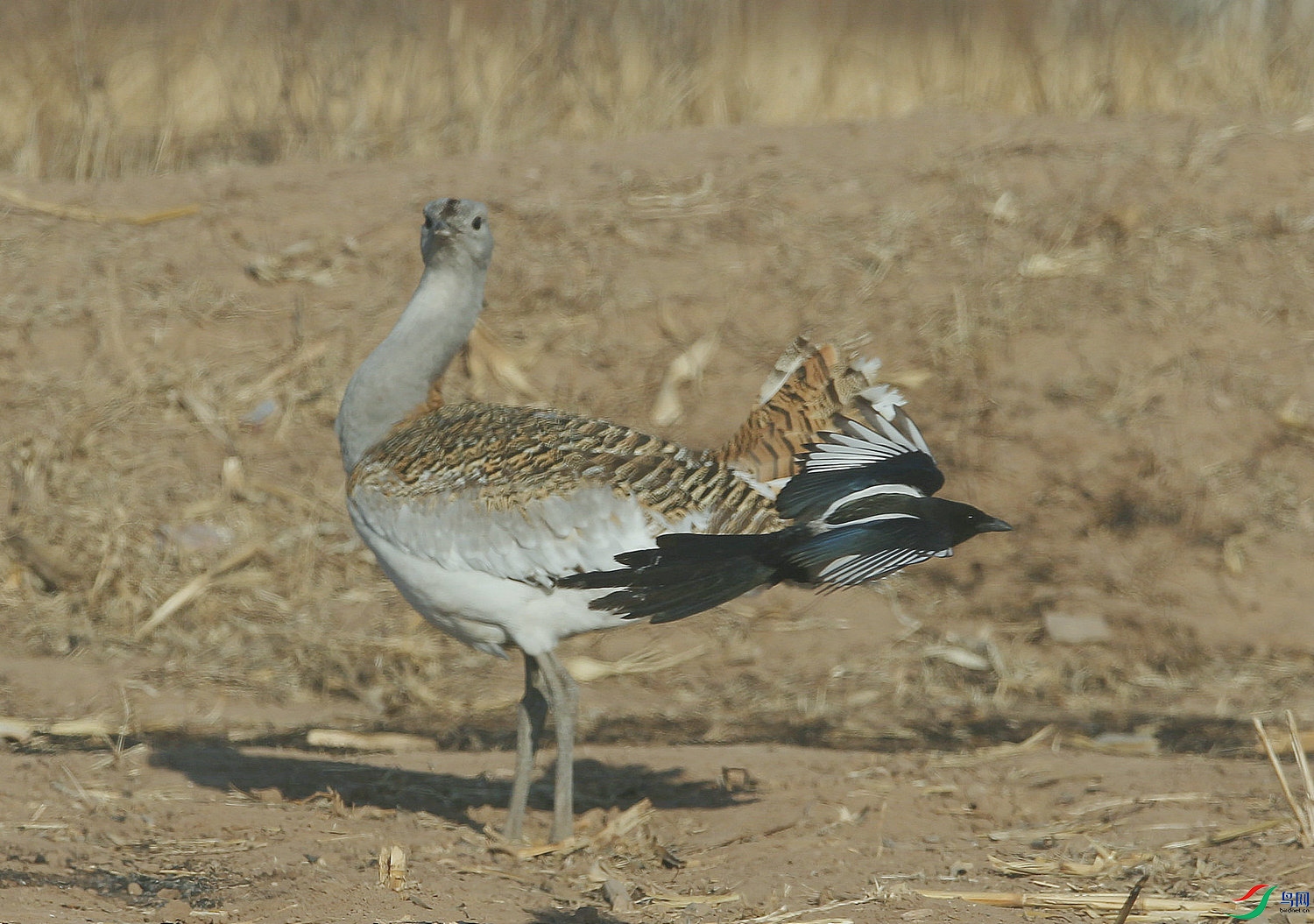 DB 21����.jpg