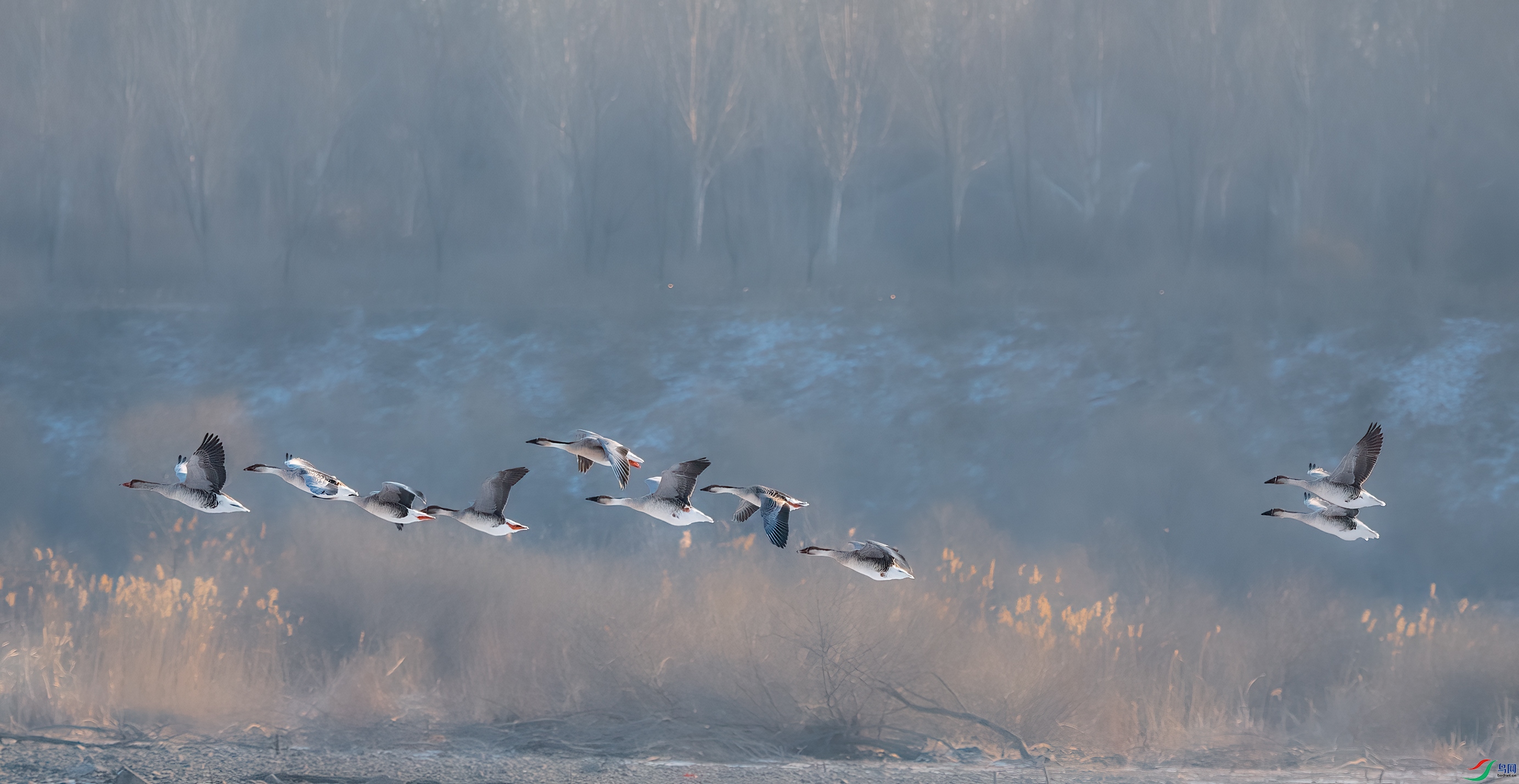 DSC_5944- ����ͷ�.jpg