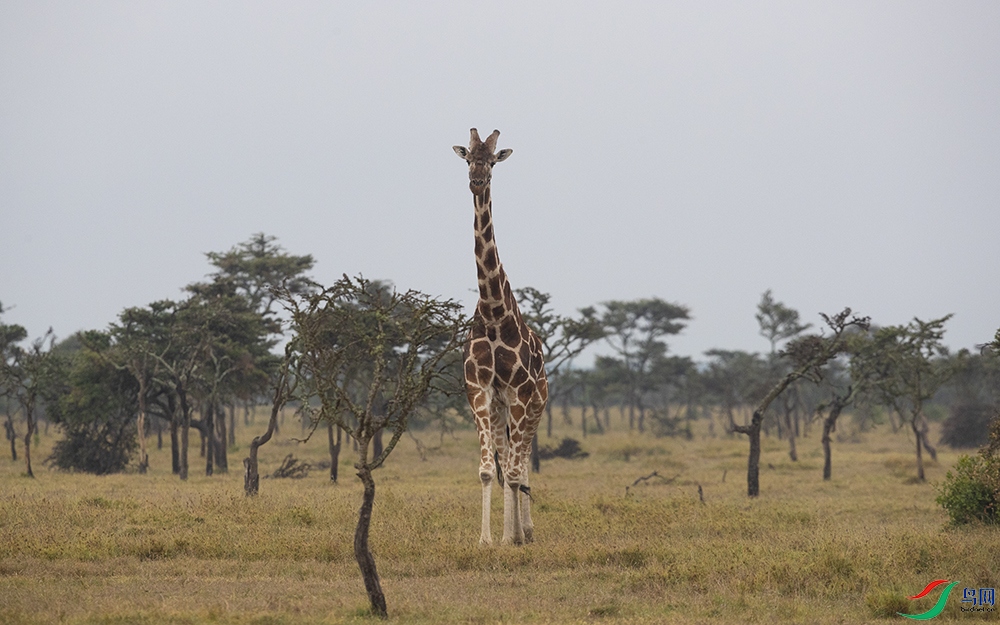 ����¹ (40).jpg