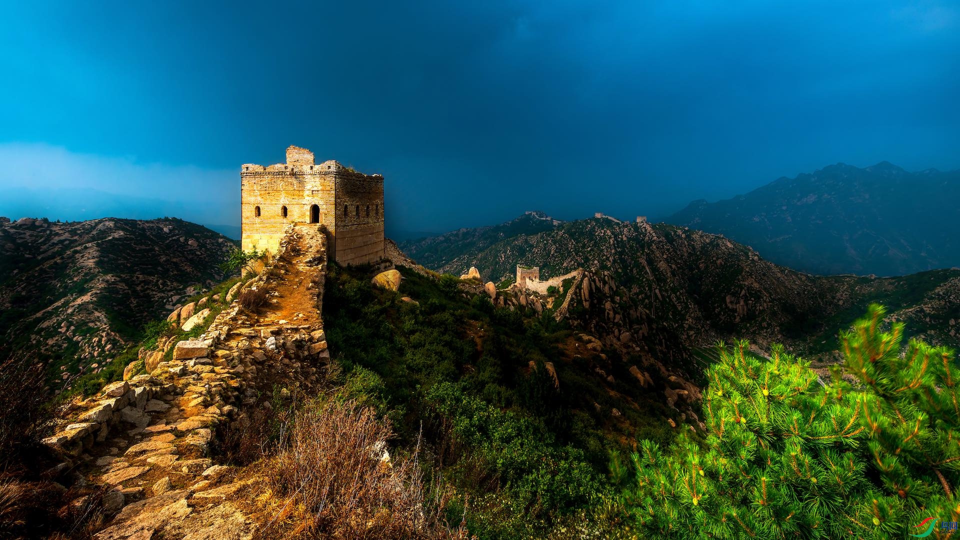 1_DSC1681-����ǿ-NR ����-1-1.jpeg