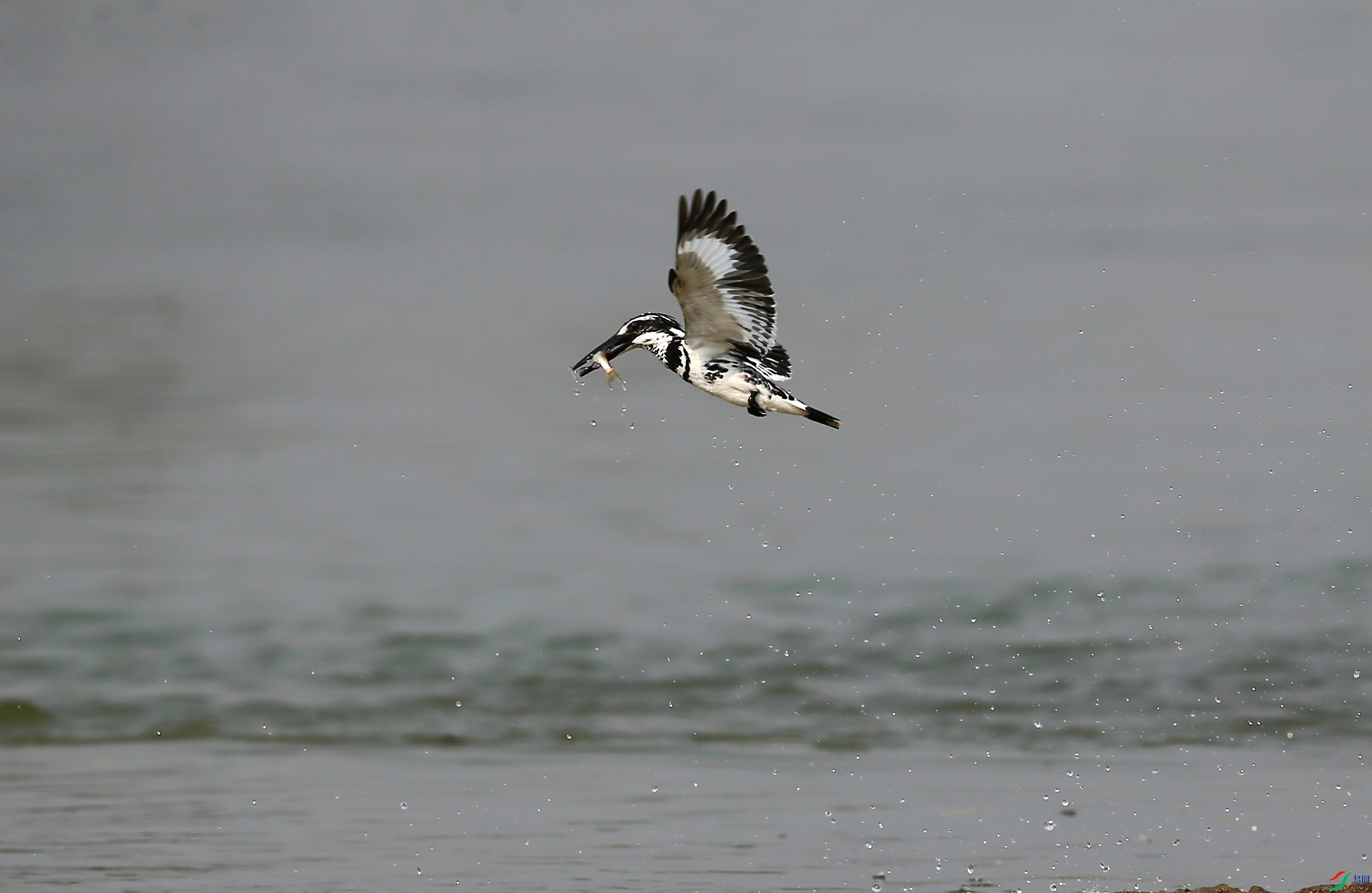 ���㹷 (12).JPG