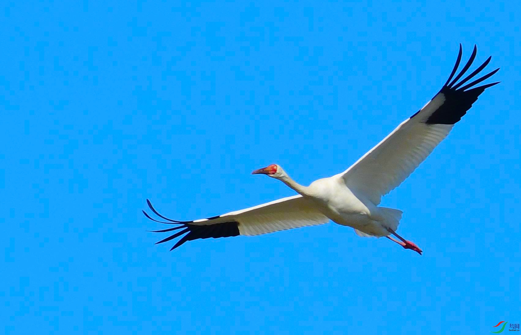 DSC_6559.JPG