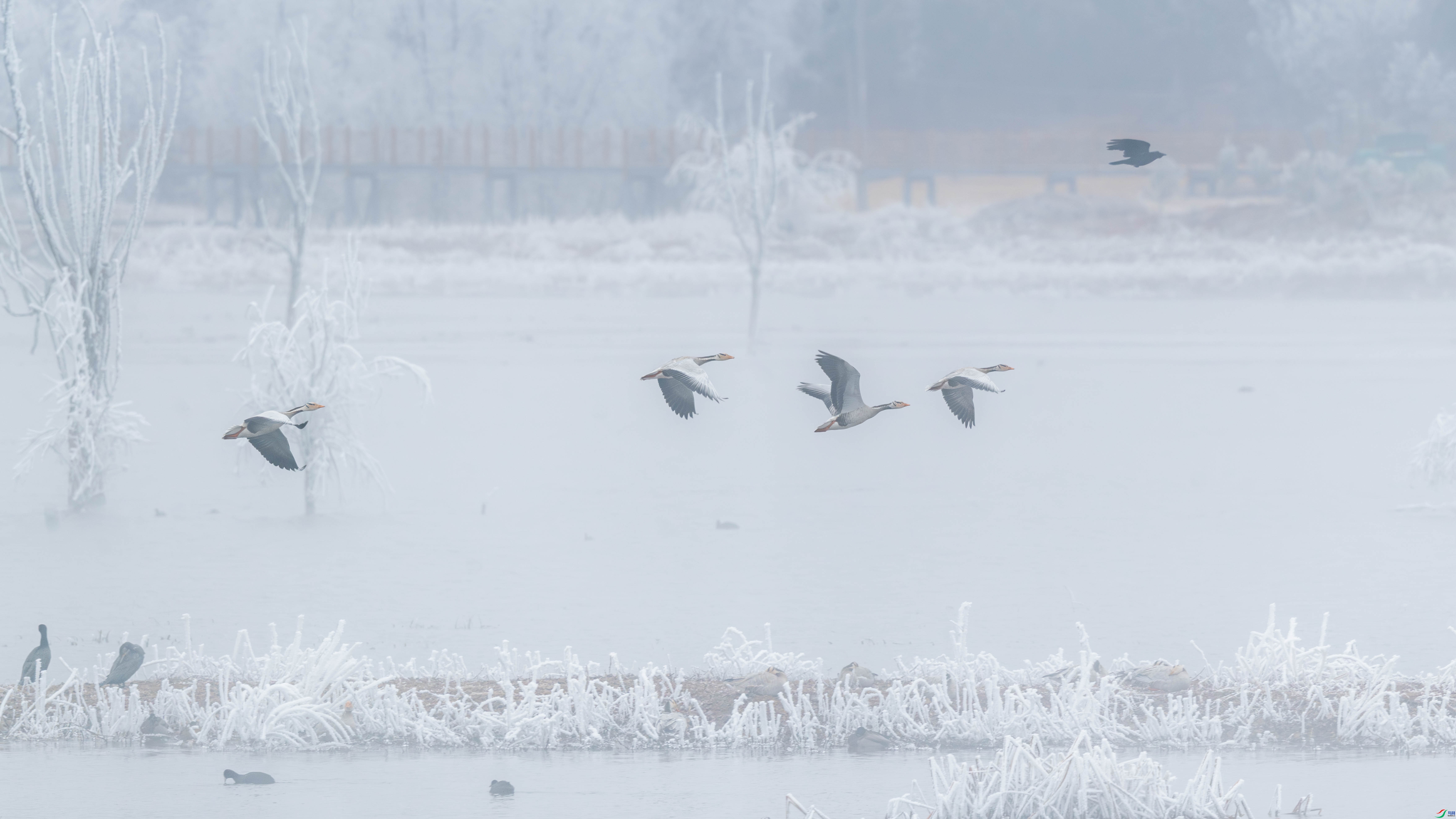 1.3���ֹ���ing��ʦ��Ʒ   �������� ��ף���ٻ��Ա������.jpg