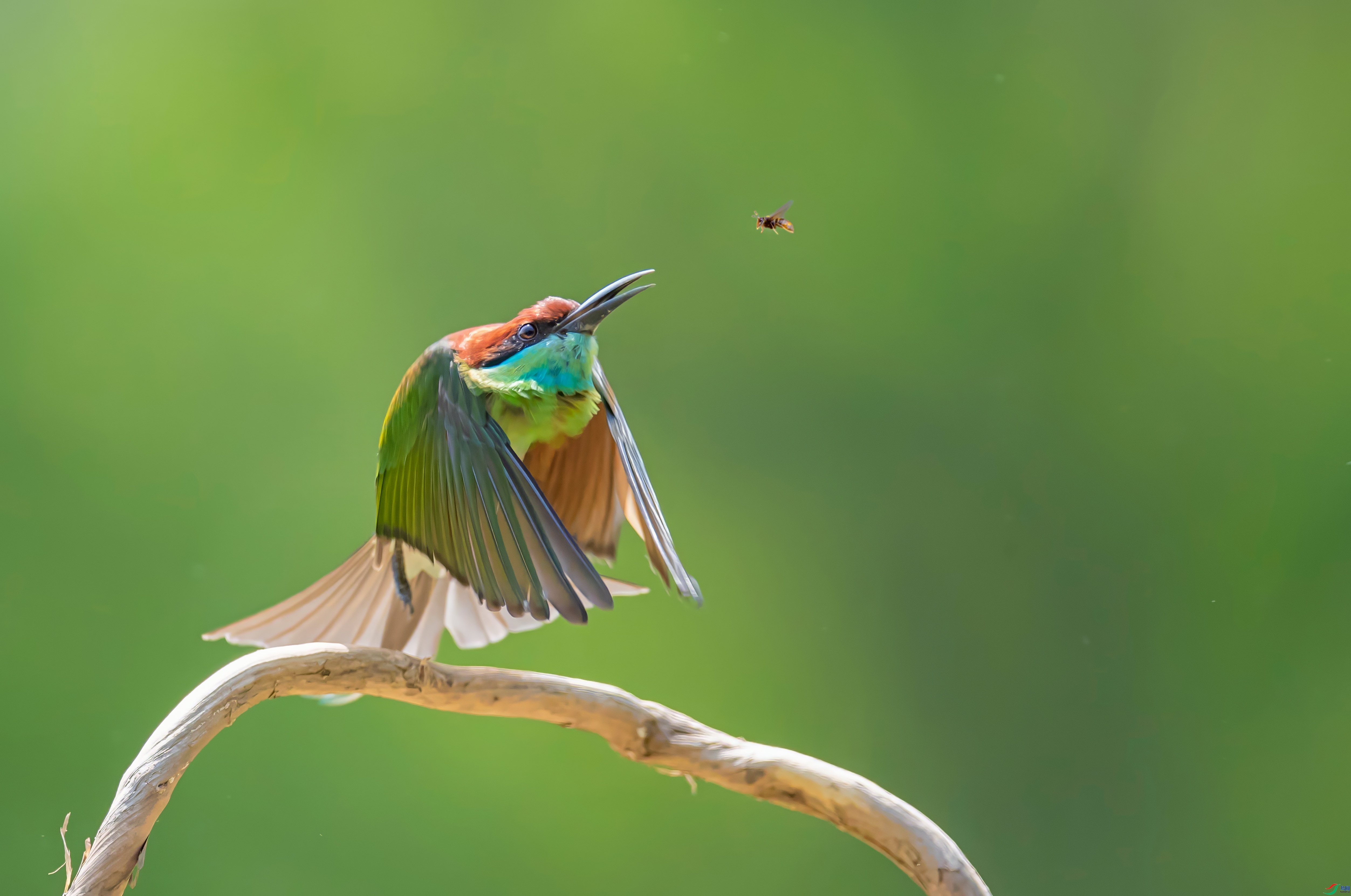 1.3��������ʦ��Ʒ   Ŀ��ת�� ��ף���ٻ����Ѿ�����.jpg