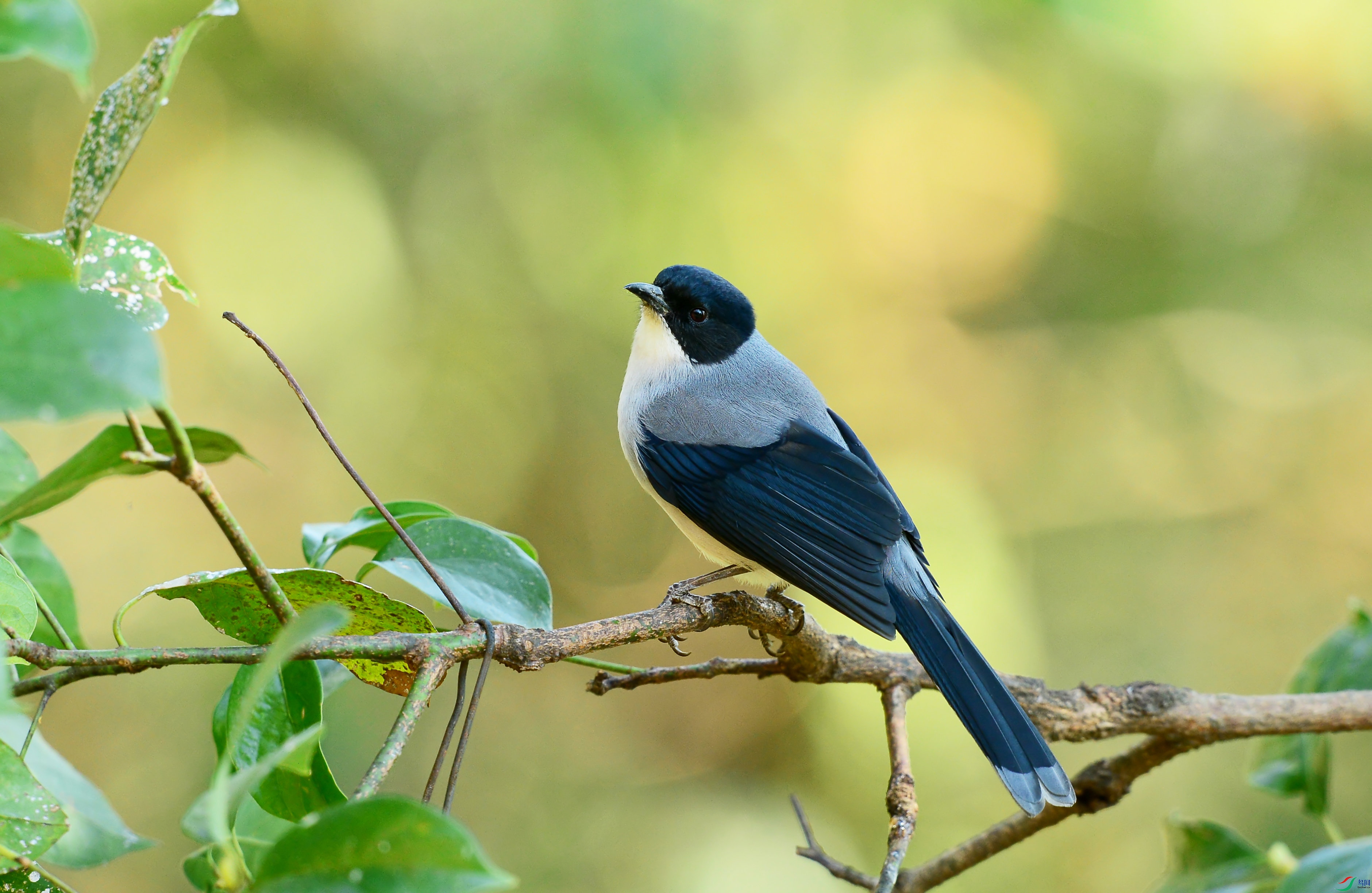 DSC_5172.jpg