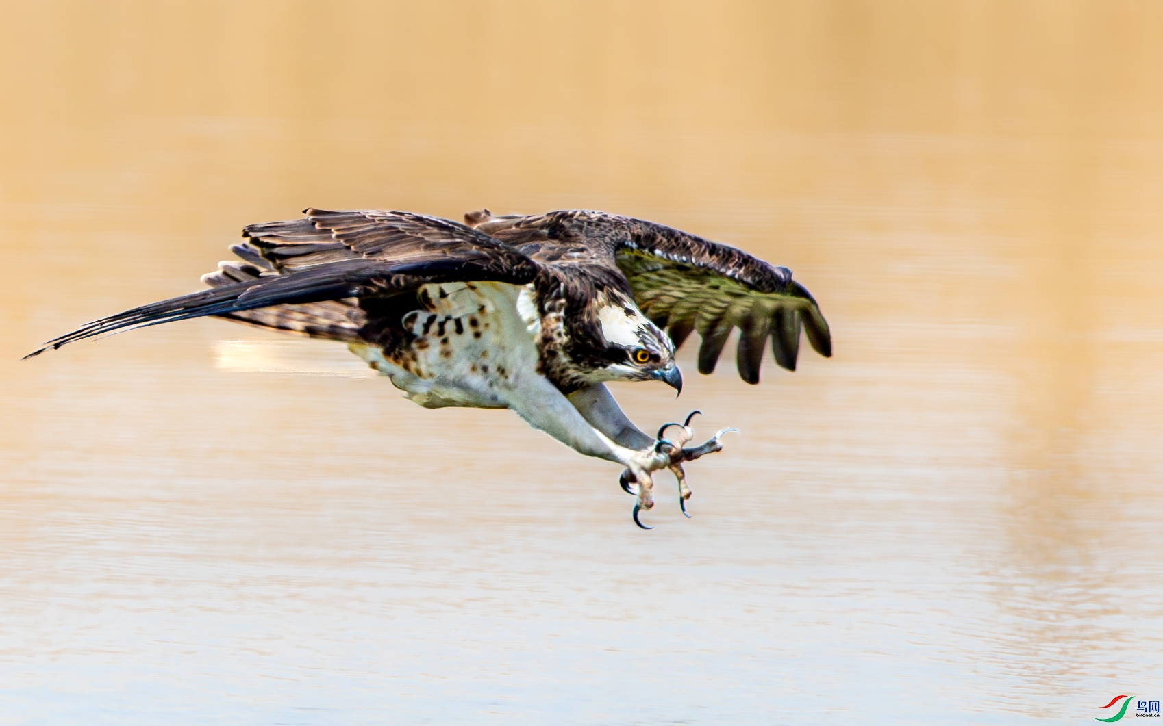 AY8I0760-����ǿ-NR ����.jpg