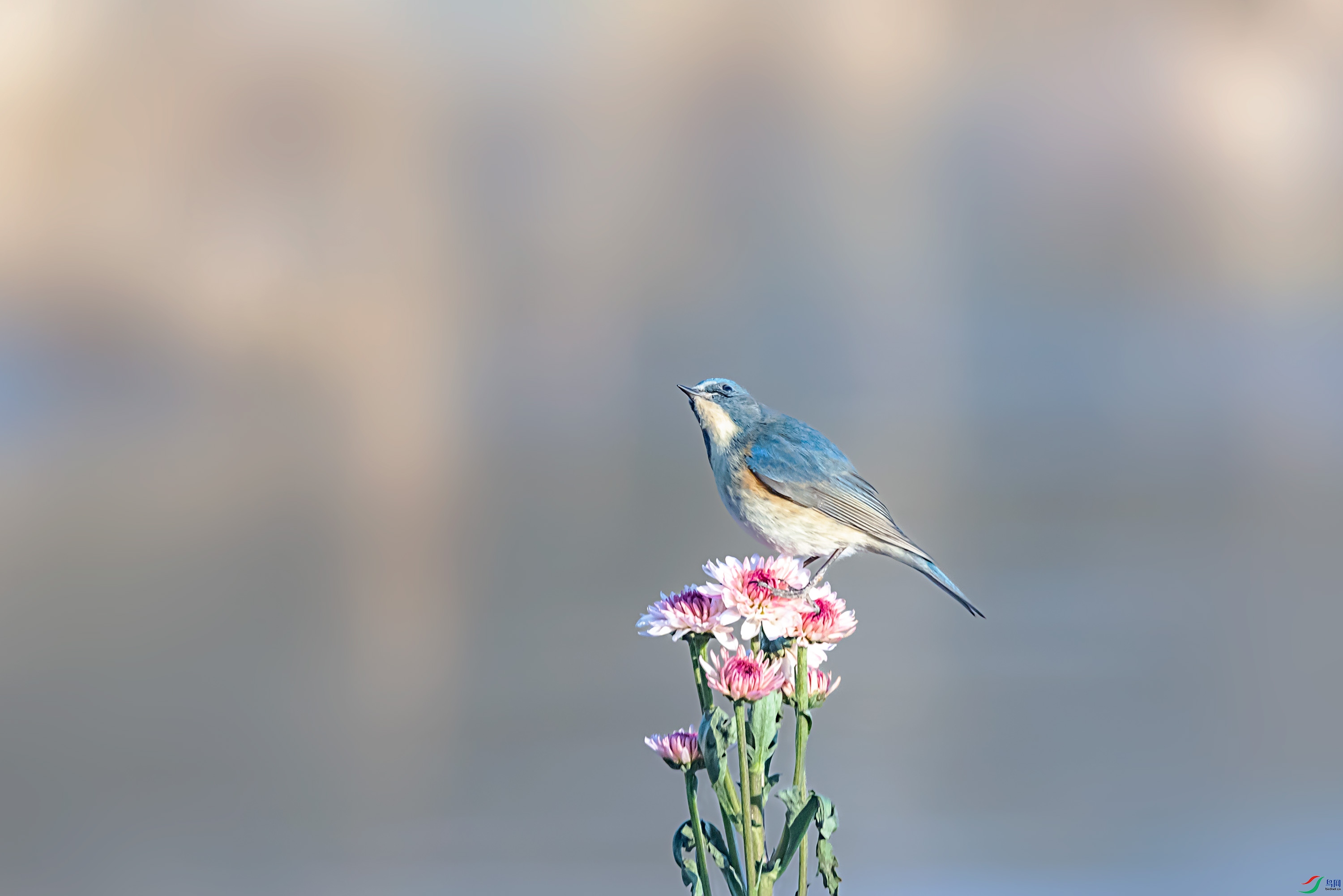 278A6450.jpg