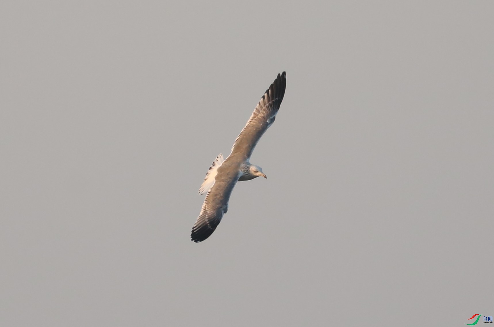 BL7A0941.JPG