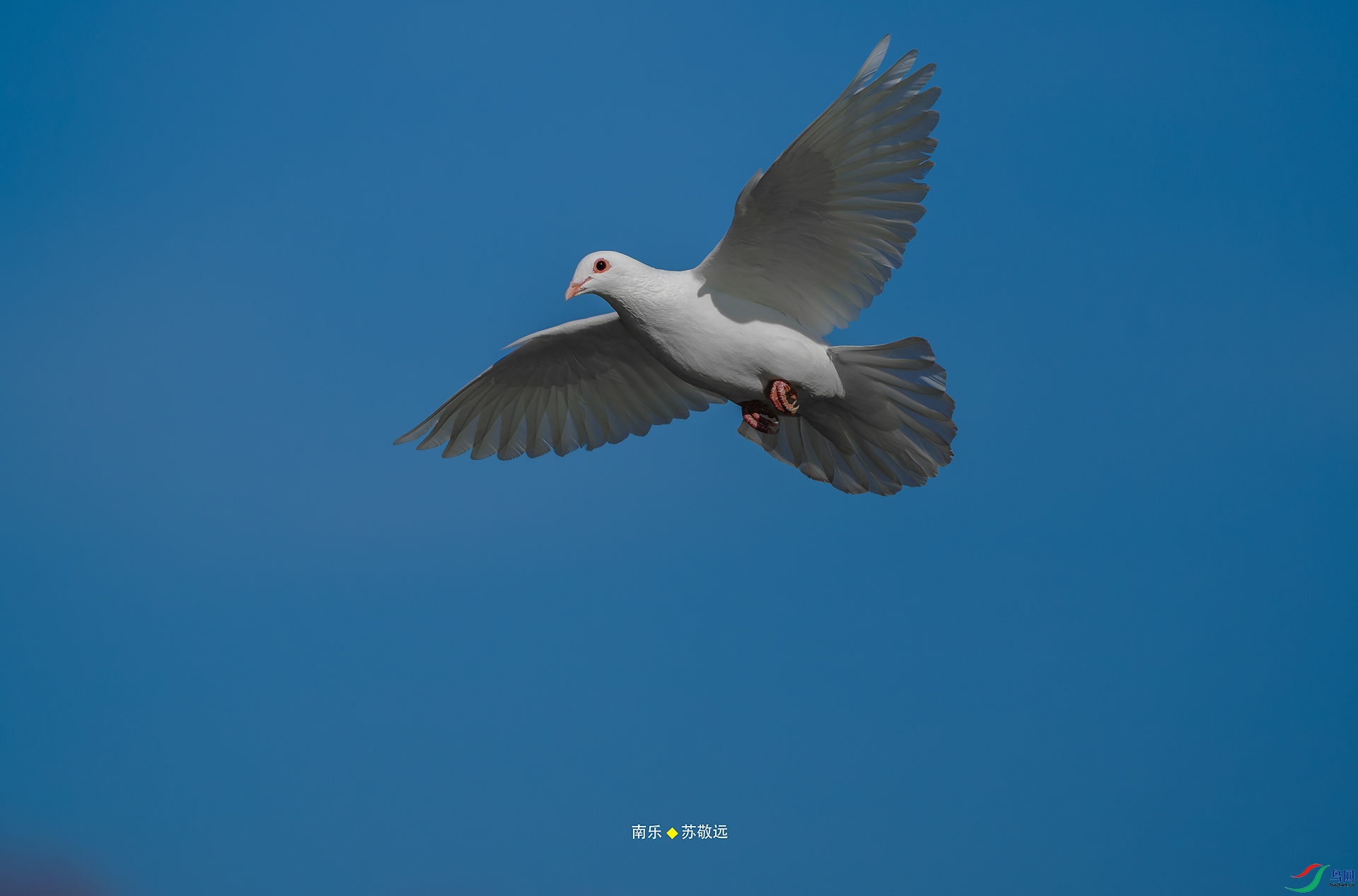 _DSC0178-NEF_DxOС.jpg