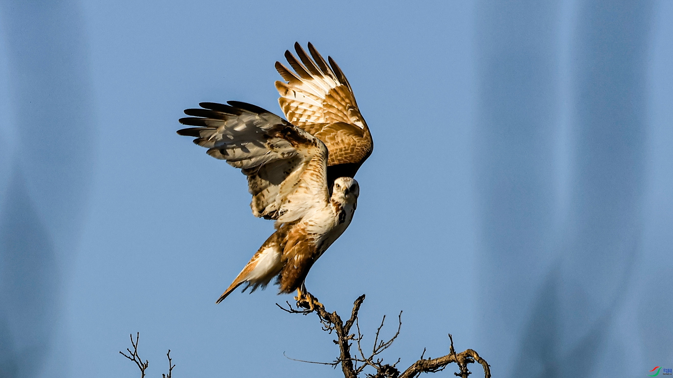 1.3 ʷֲ����ʦ��Ʒ  ����  �ٻ�2025��1��3�ջ�Ա��ҳ����.jpg