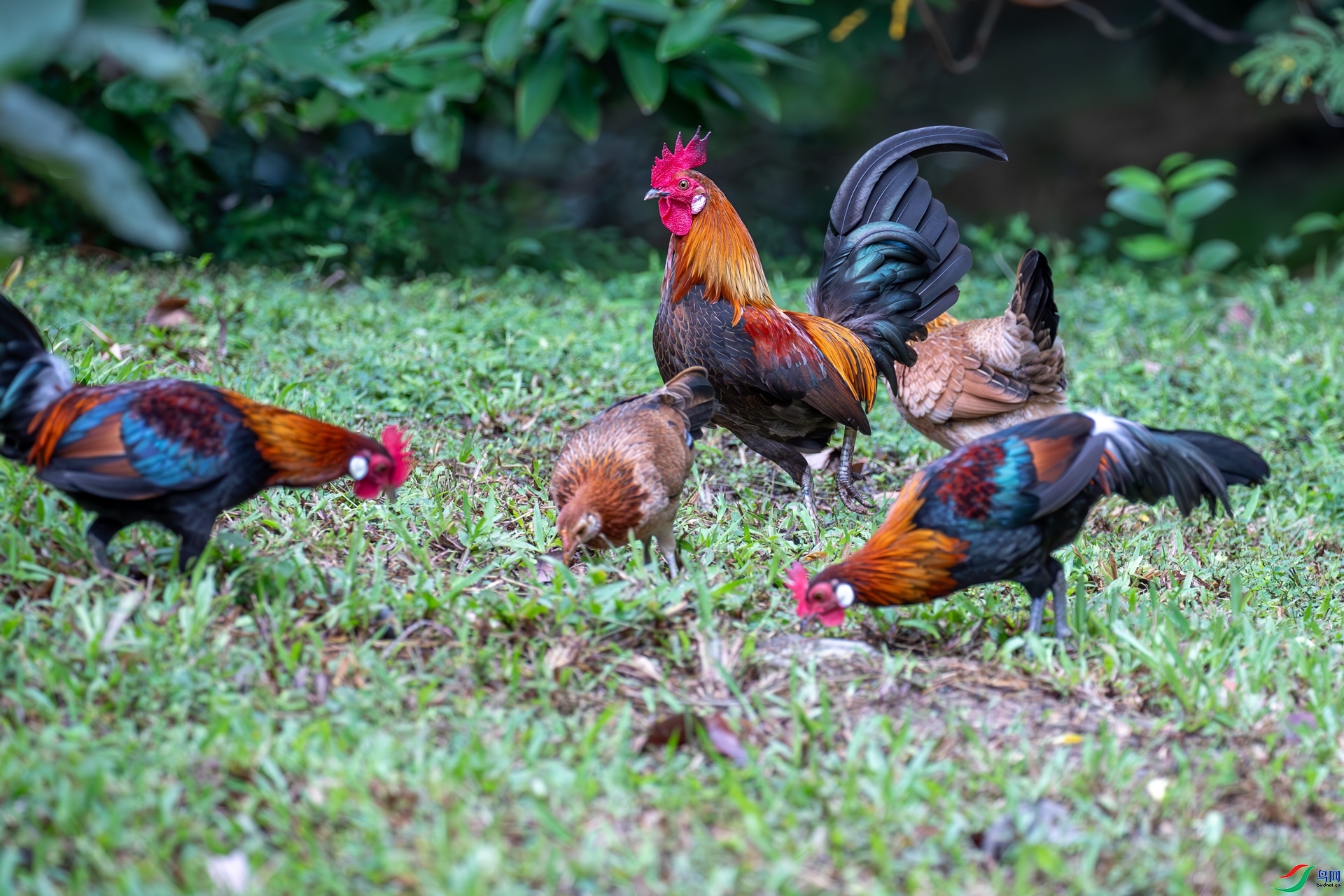 1.4 ����ī��ʦ��Ʒ  ��ԭ��  �ٻ�2025��1��4��������ҳ����.jpg