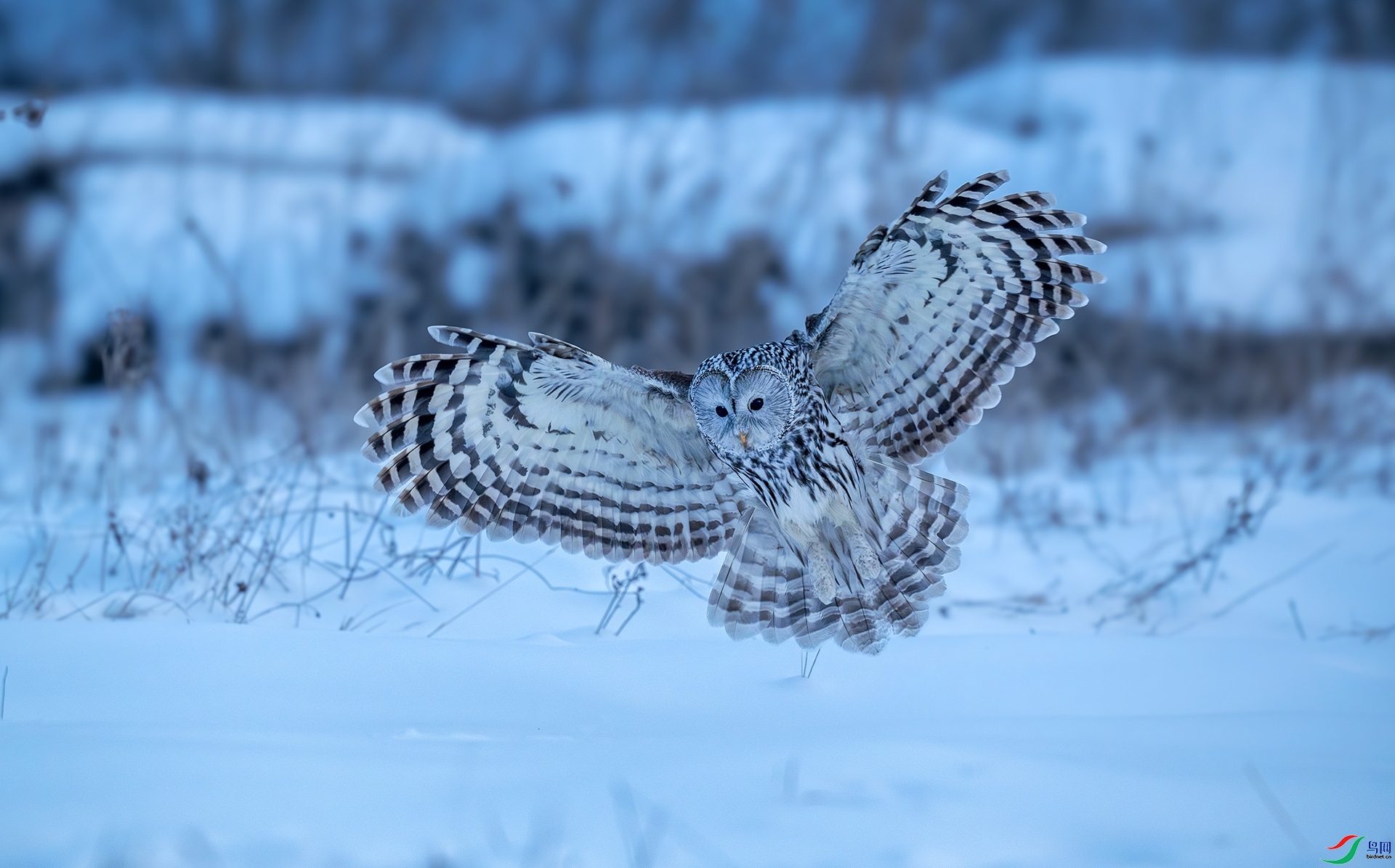 1.4 ��������ʦ��Ʒ  ��β���^  �ٻ�2025��1��4����Ӱʦ��ҳ����.jpg