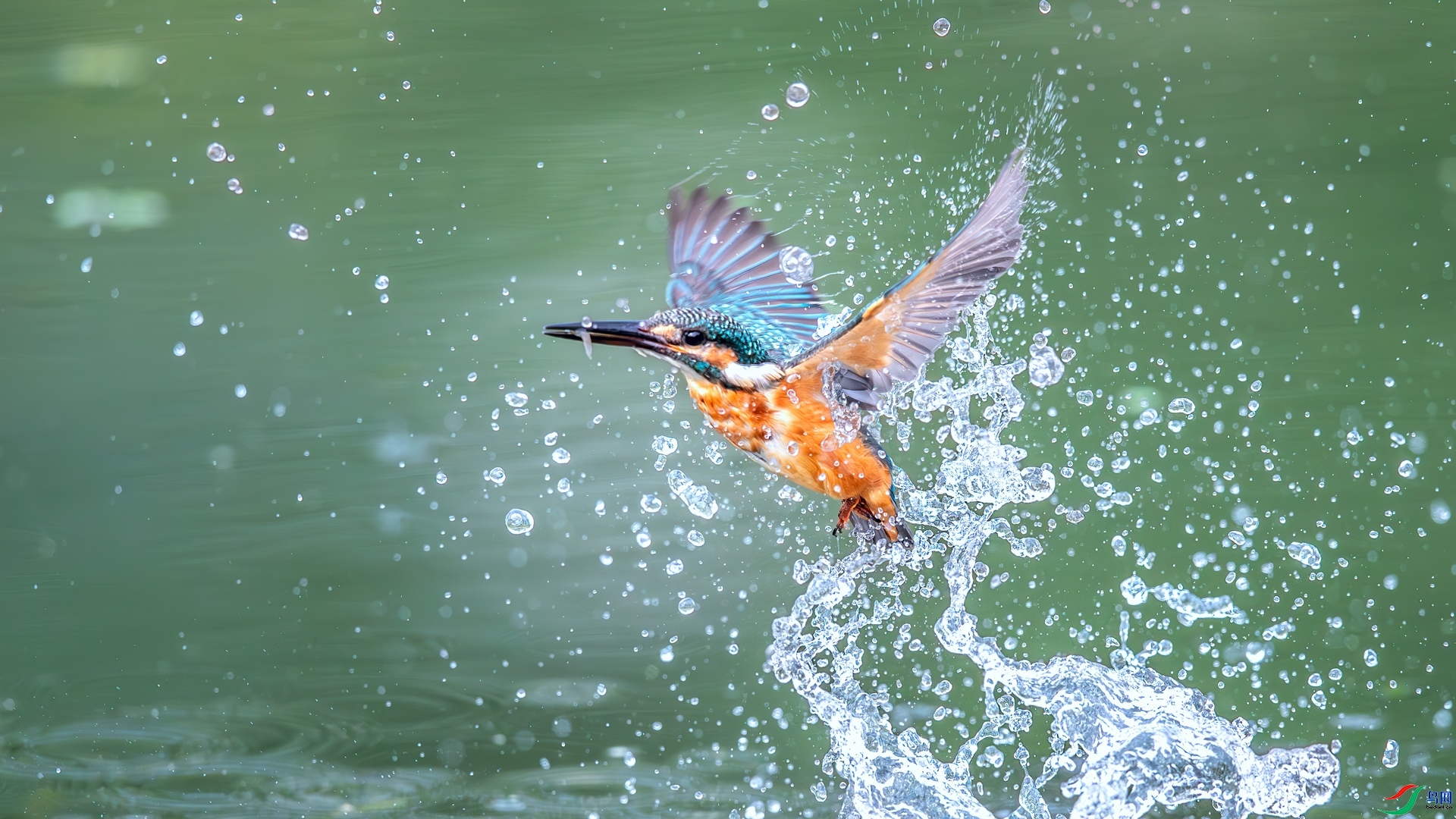 1.5 ��Ů��·����ʦ��Ʒ  С���ˮ  �ٻ�2025��1��5�հ�����ҳ����.jpg