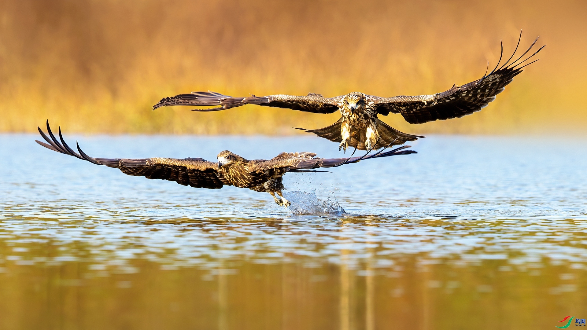 1.5 �ɵ���ʦ��Ʒ  �ڶ��  �ٻ�2025��1��5����Ӱʦ��ҳ����.jpg