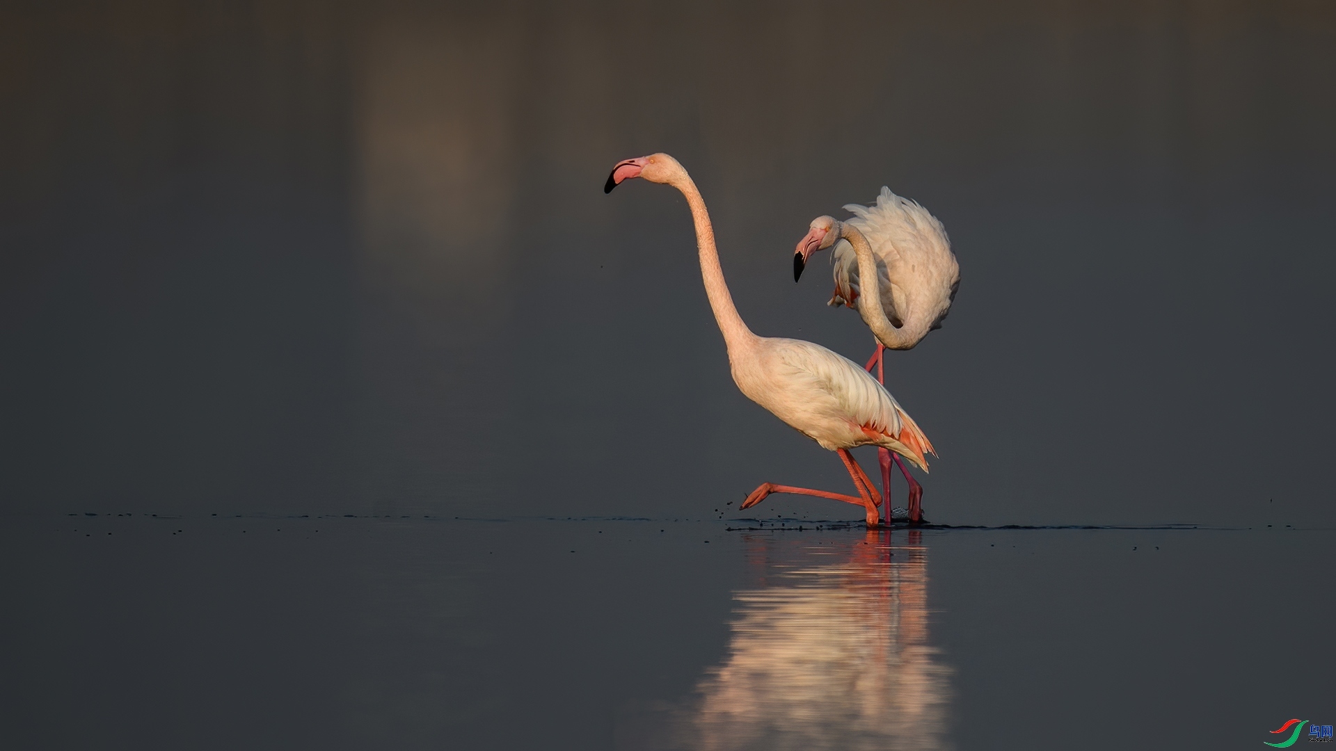 1.5 ����ͥԺ��ʦ��Ʒ  ������  �ٻ�2025��1��5��������ҳ����.jpg