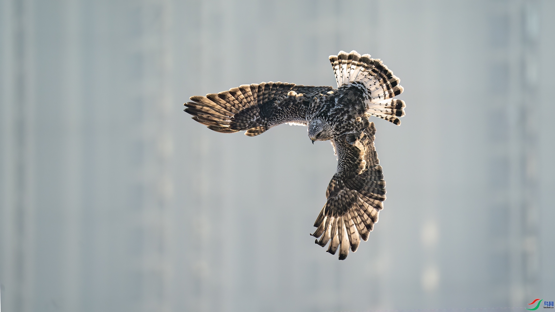 1.5 ľ����ʦ��Ʒ  ����  �ٻ�2025��1��5�հ�����ҳ����.jpg