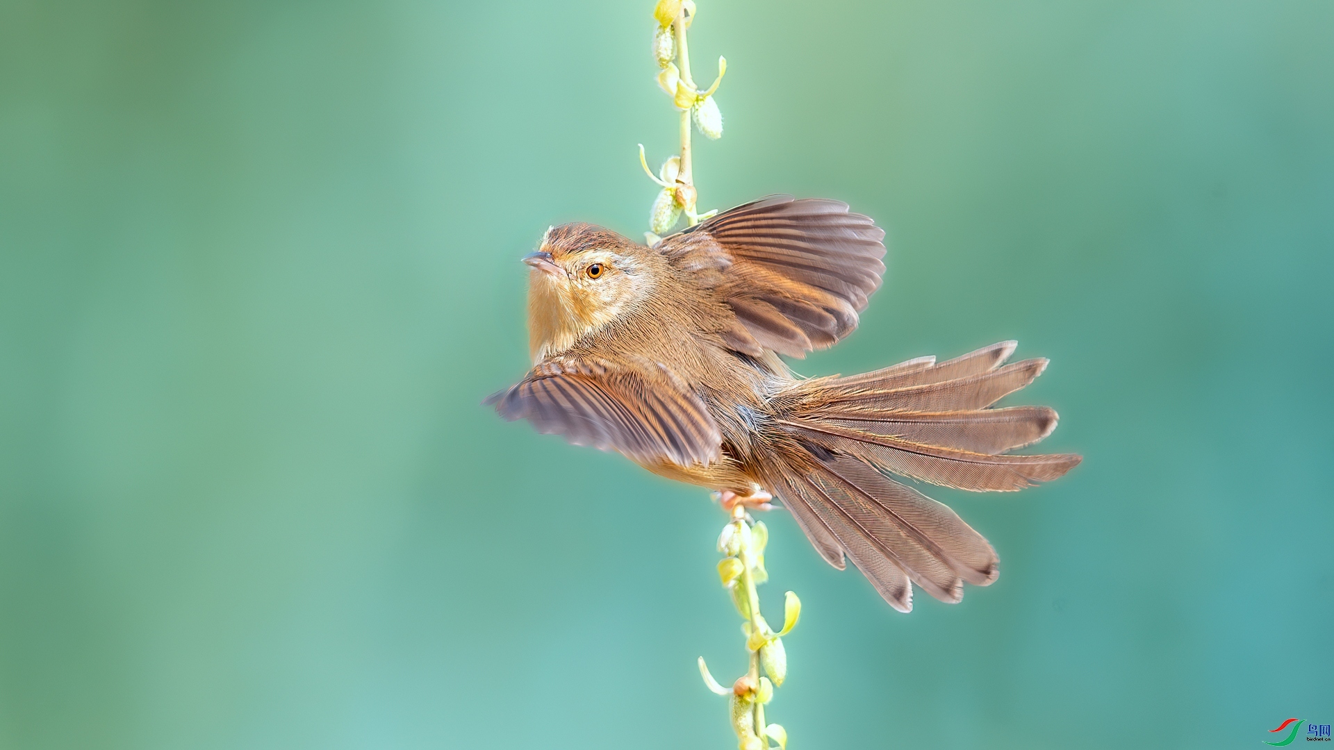 1.5 ����ī��ʦ��Ʒ  �����ϵ���ݺ  �ٻ�2025��1��5��������ҳ����.jpg