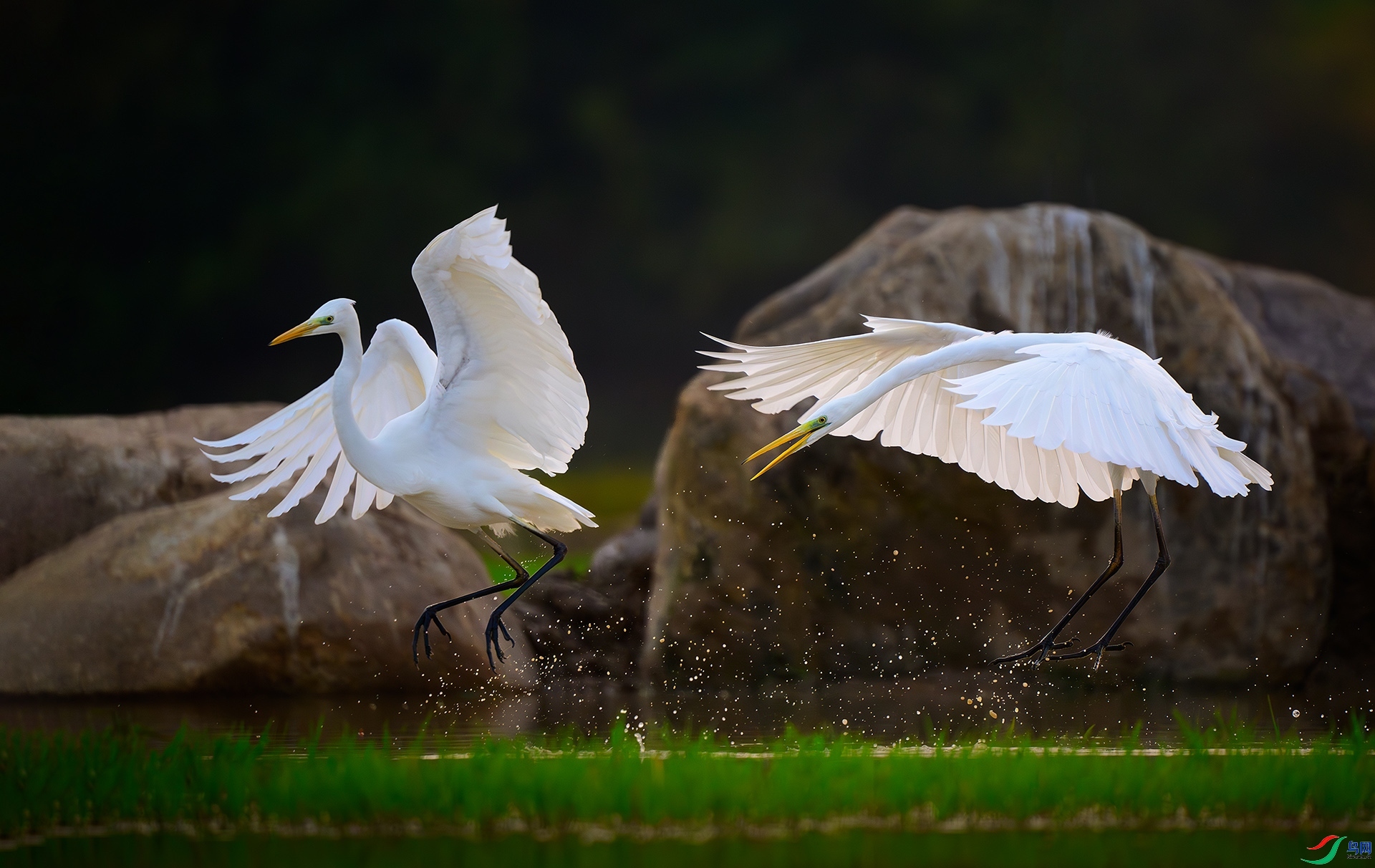 1.5 ��������ʦ��Ʒ  �������  �ٻ�2025��1��5����Ӱʦ��ҳ����.jpg