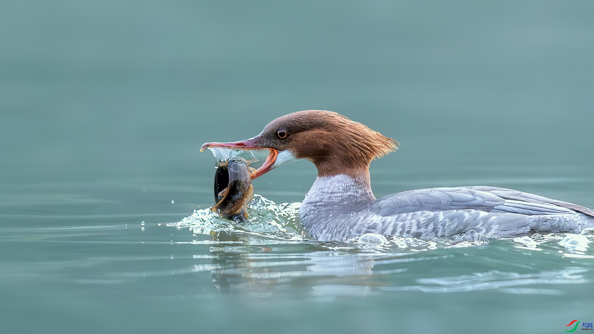 1.6 ��Ů��·����ʦ��Ʒ  ��ɳѼ  �ٻ�2025��1��6�հ�����ҳ����.jpg