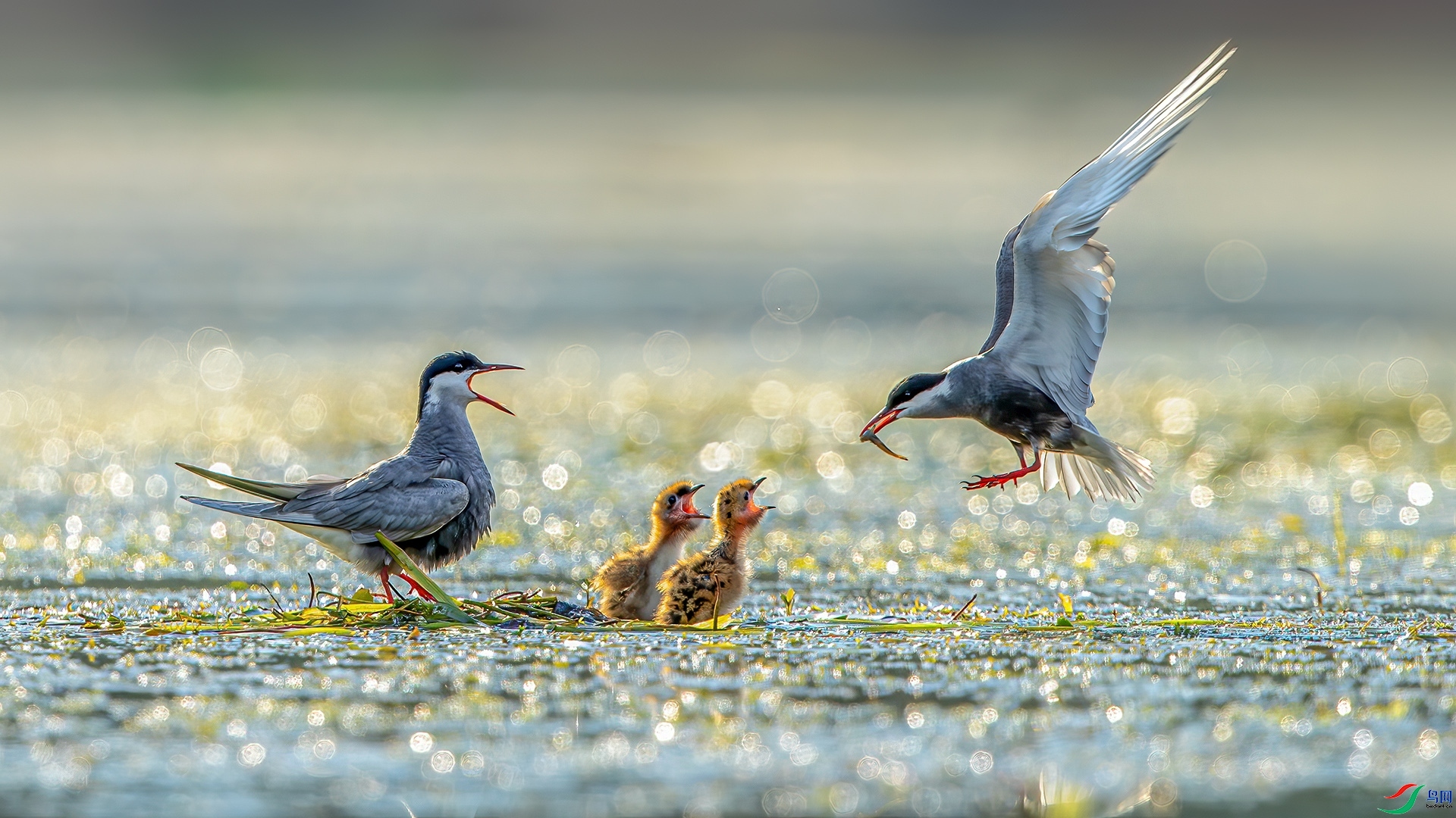 1.3 �ɵ���ʦ��Ʒ  һ����  �ٻ�2025��1��3��ÿ�ռ���.jpg