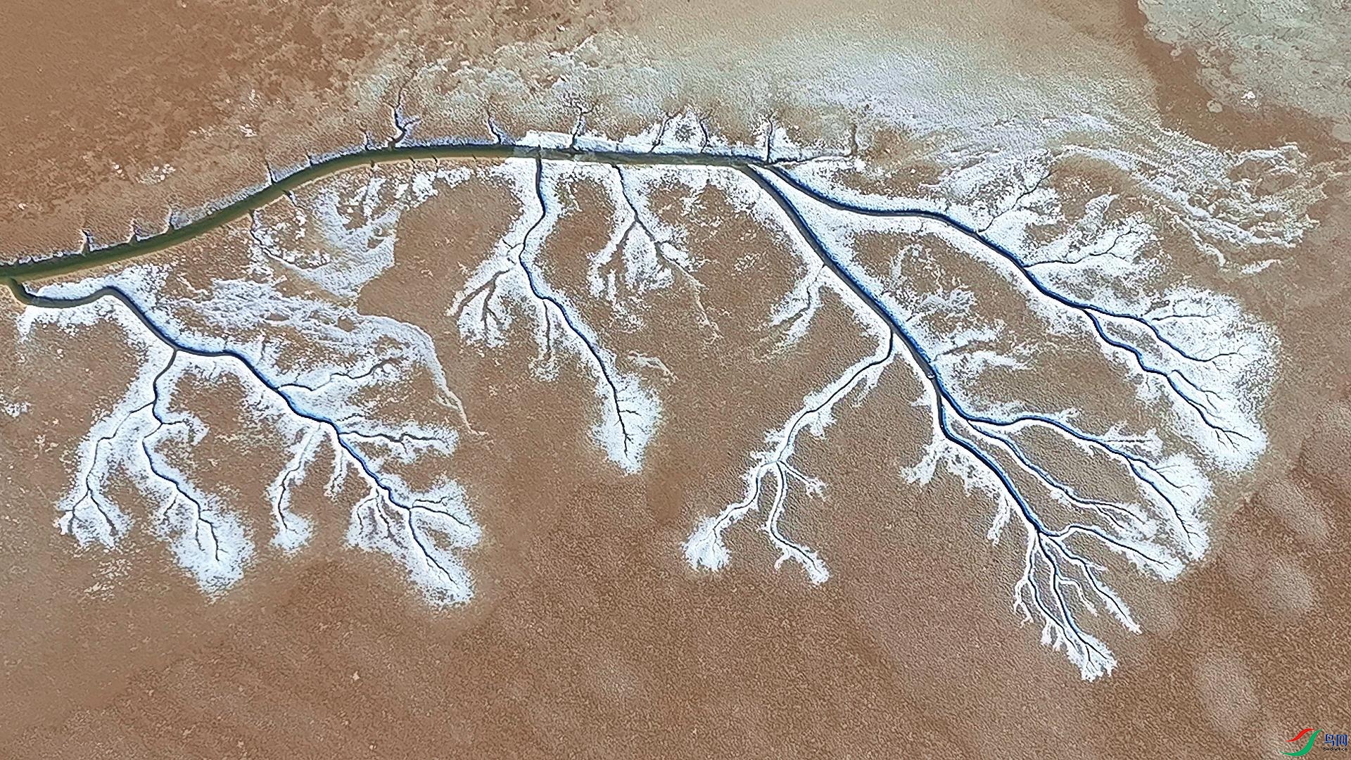 1��2�� (6)-����.jpg