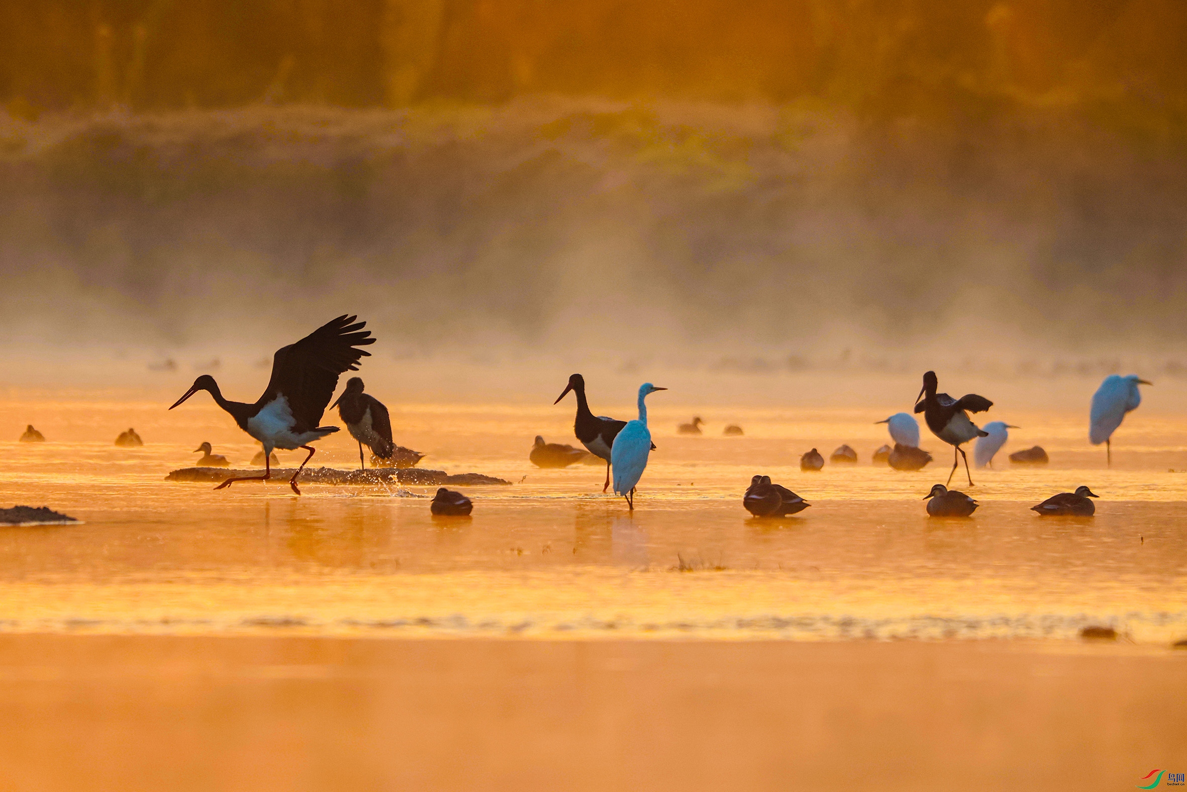 4��     ������ʳ            �����          13991607623.jpg