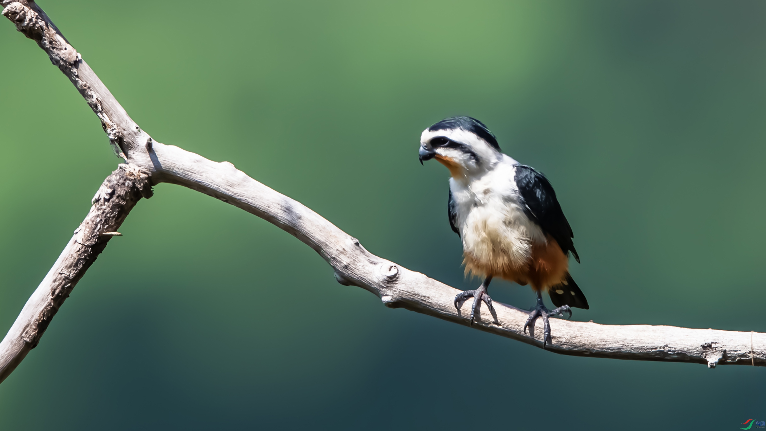 8593-1 ����.jpg