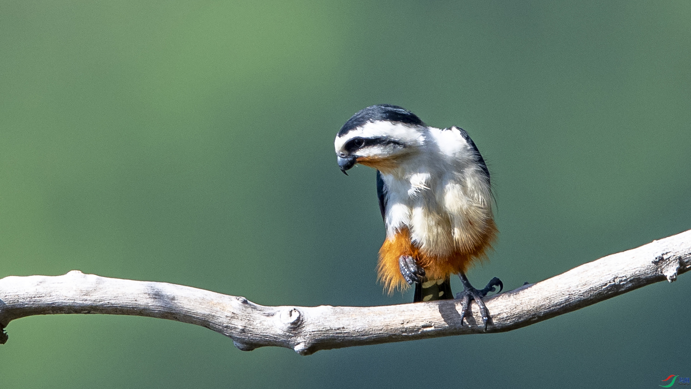 8626 ���� 2.jpg