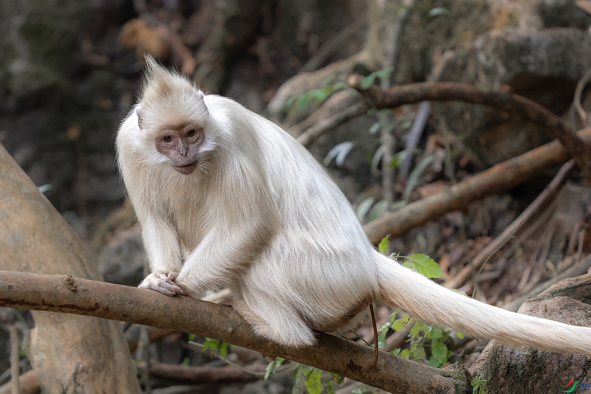 DSC07997 ���� 21111.jpg