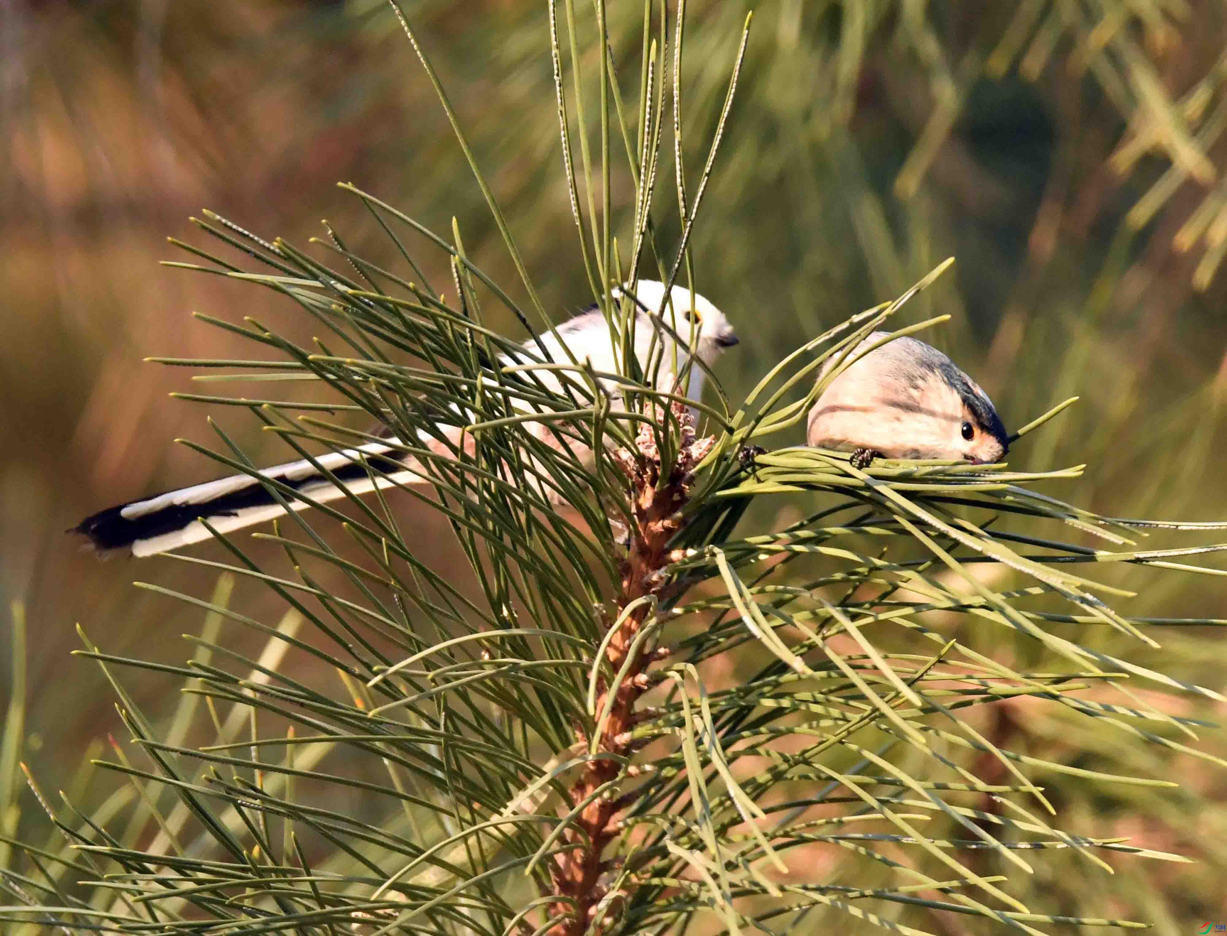 DSC_9357.JPG