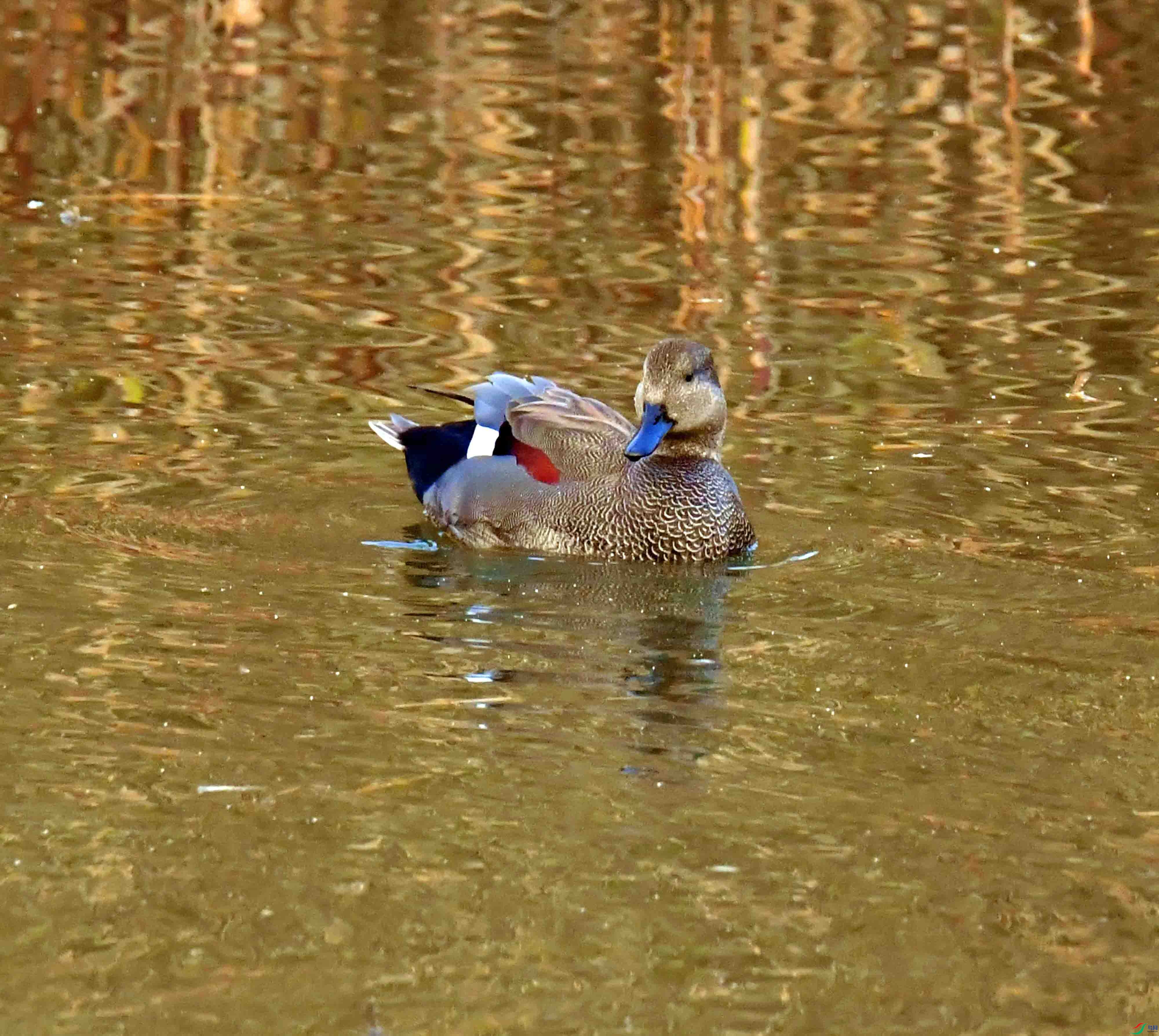 DSC_3769.JPG
