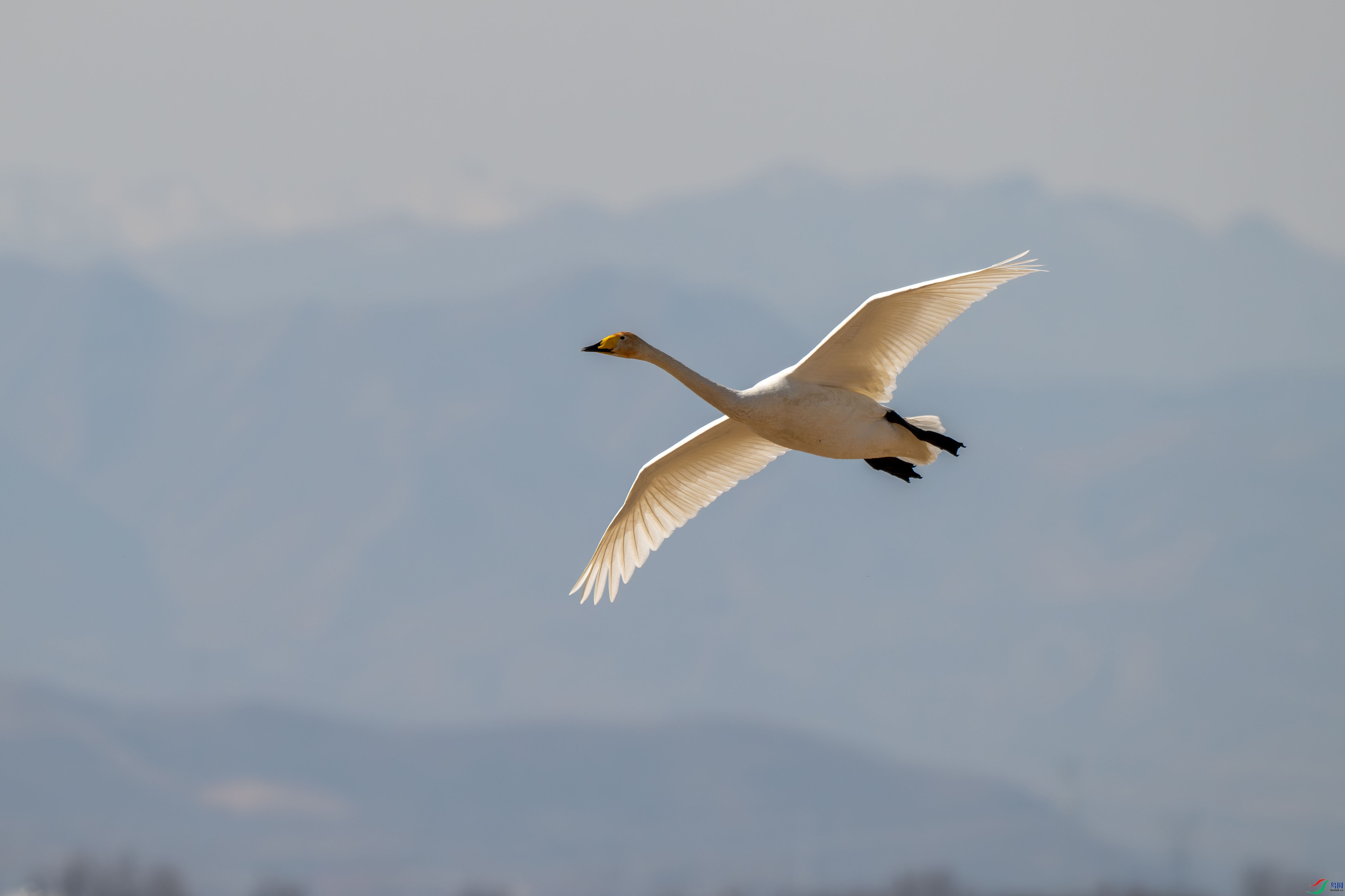 DSC_7174.jpg