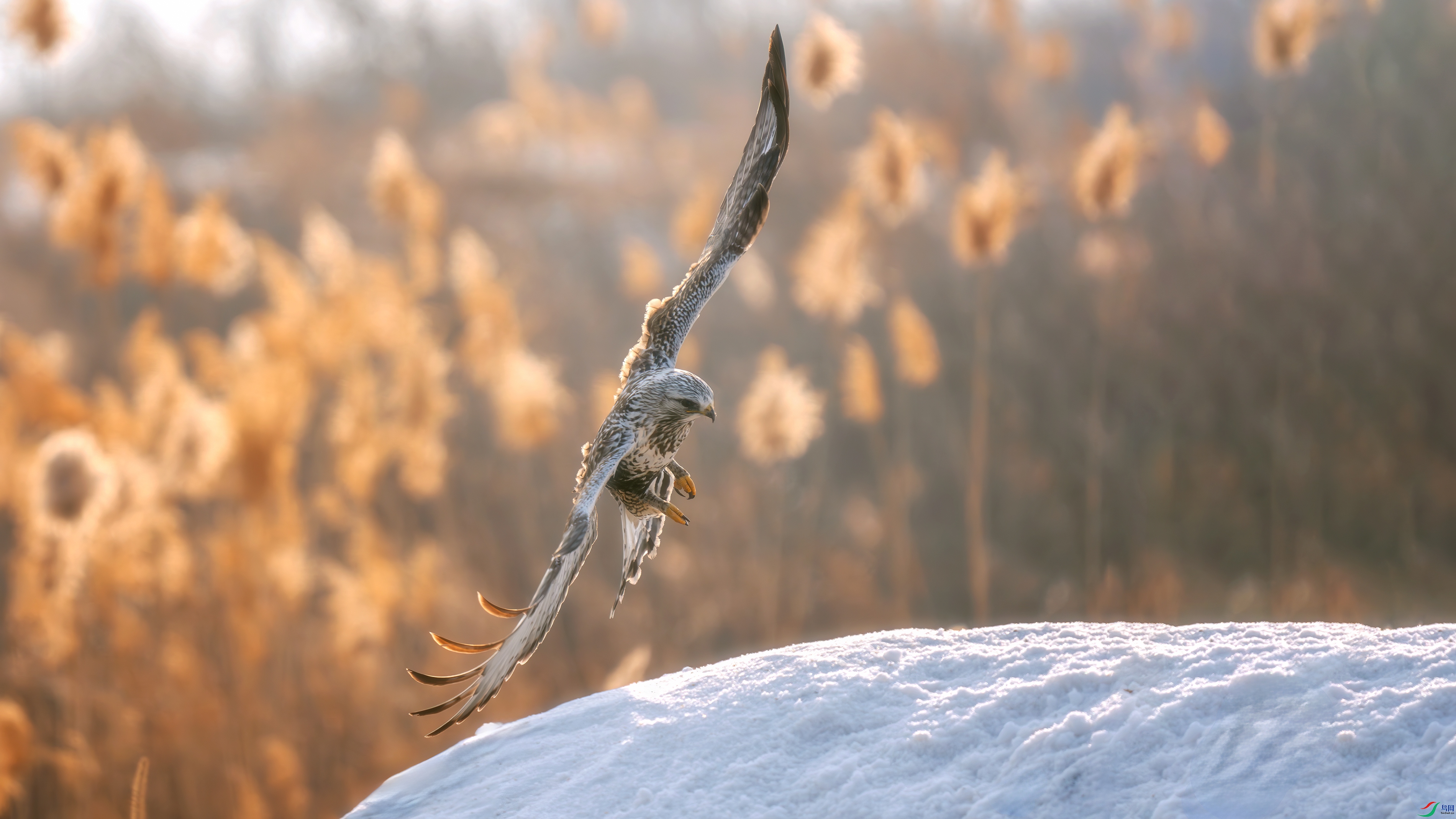 _DSC7843 ����.jpg