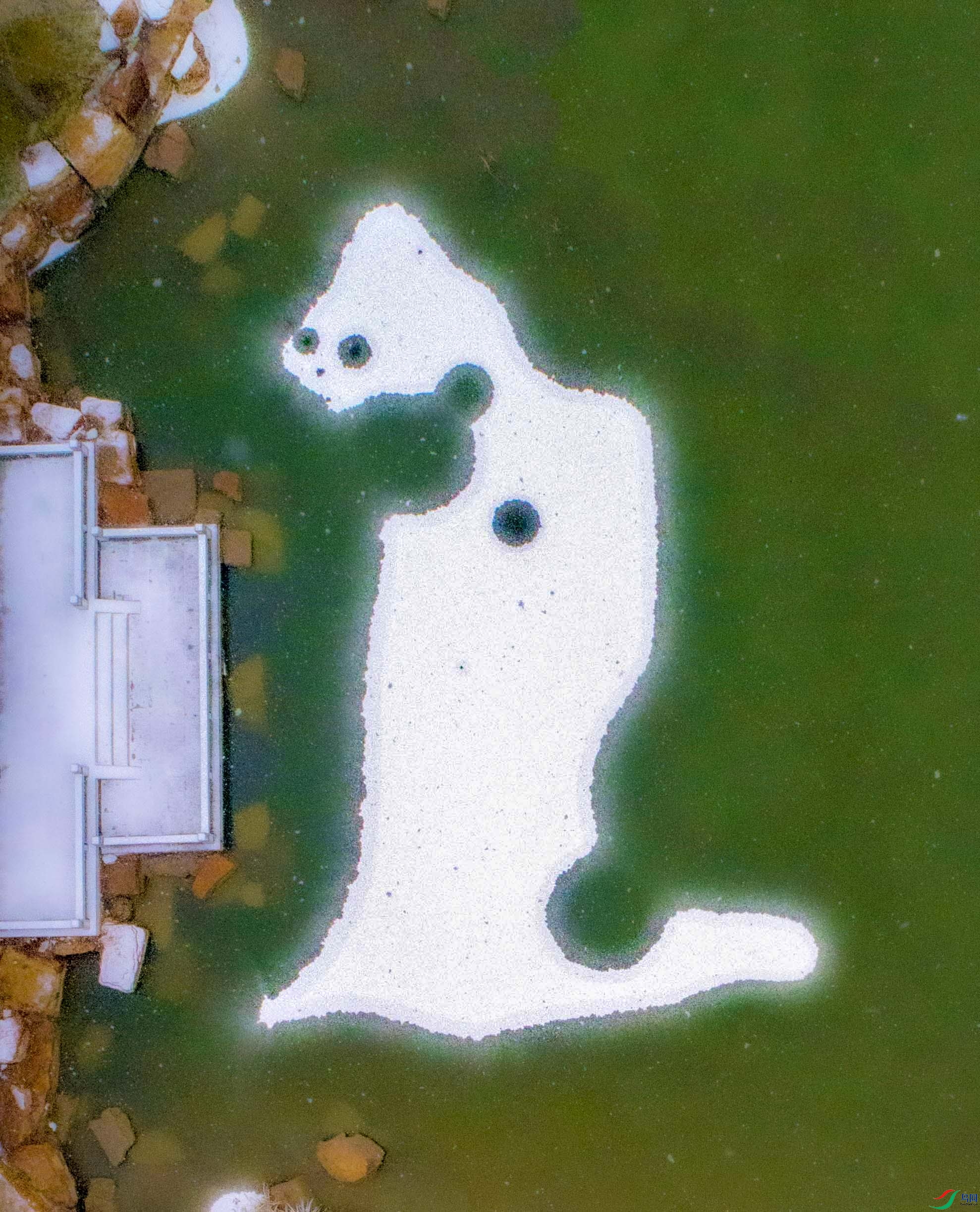 DJI_0054.jpg