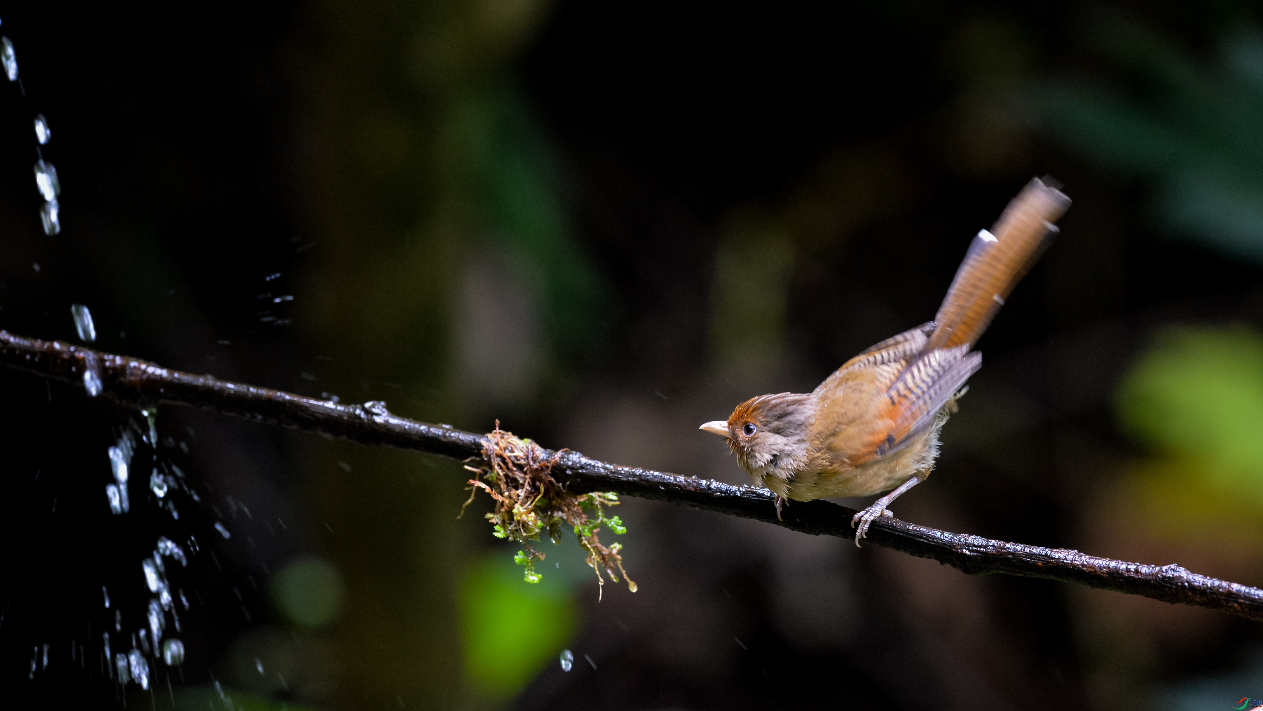 DSC_1288.jpg